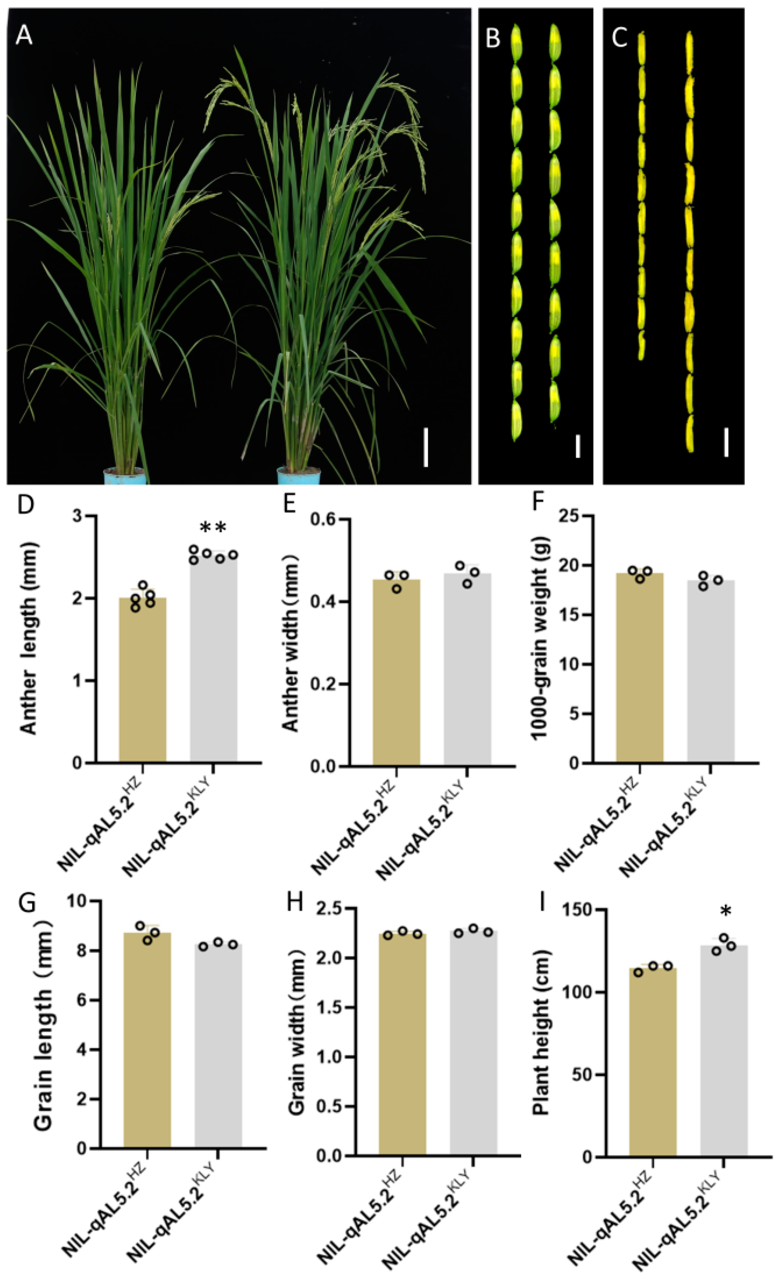 Plants 13 01130 g002