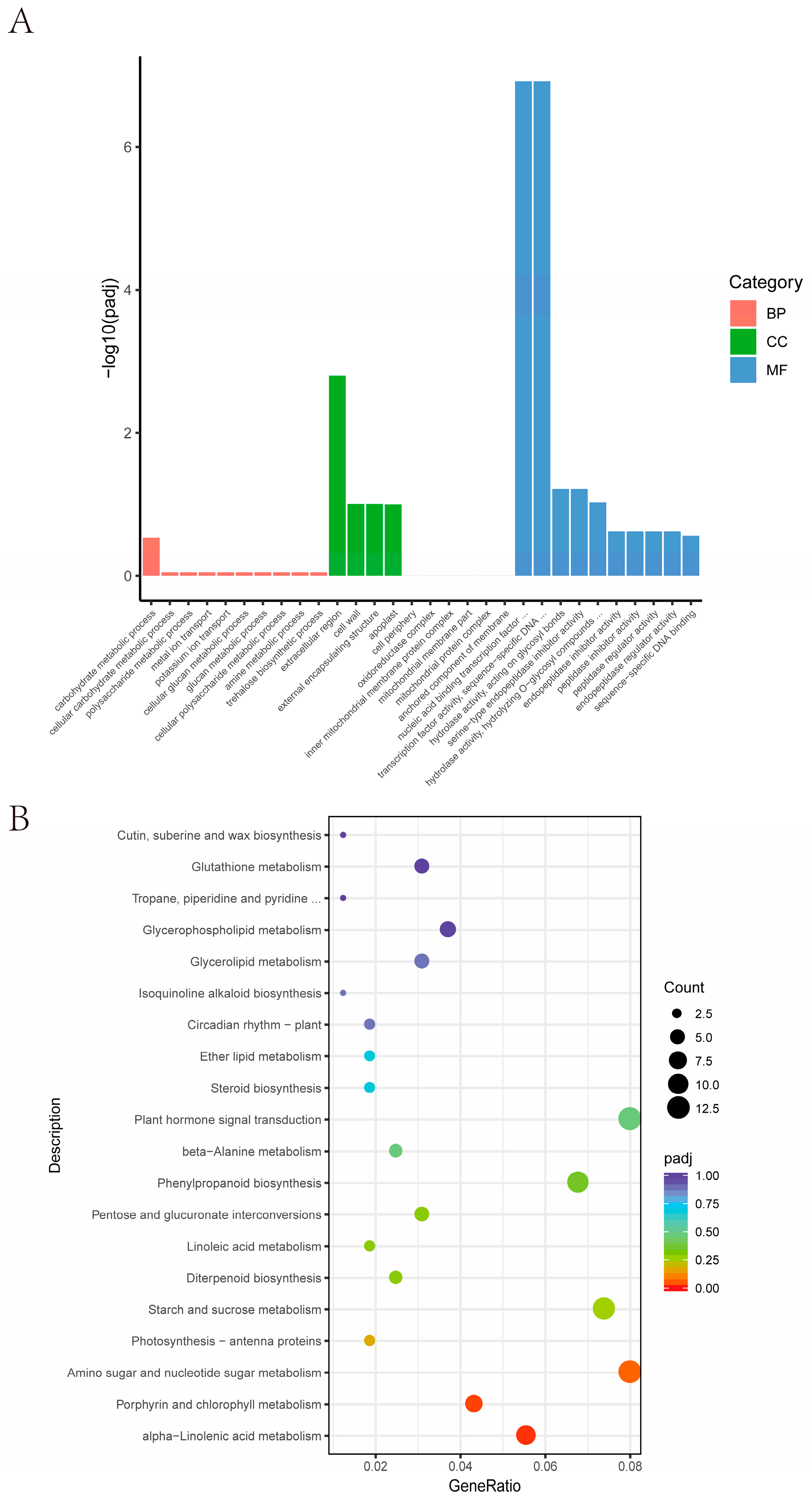 Plants 13 01130 g006