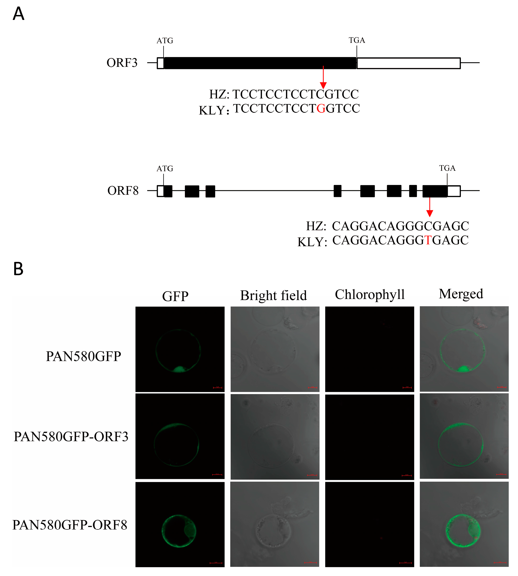 Plants 13 01130 g007