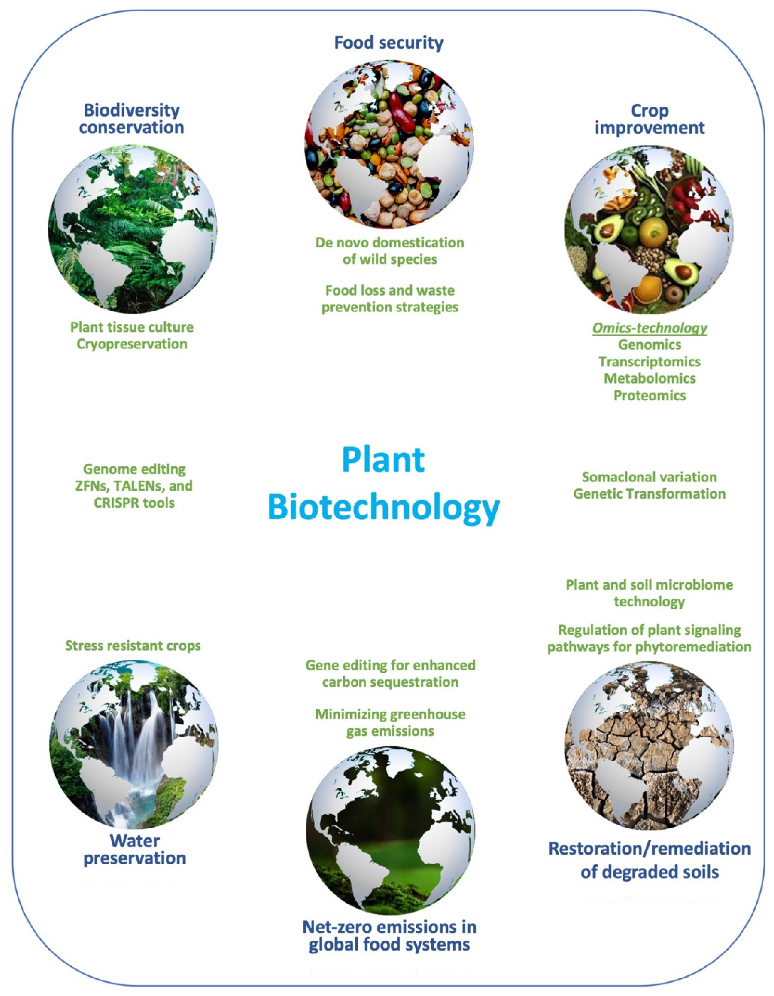 Plants 13 01133 g002