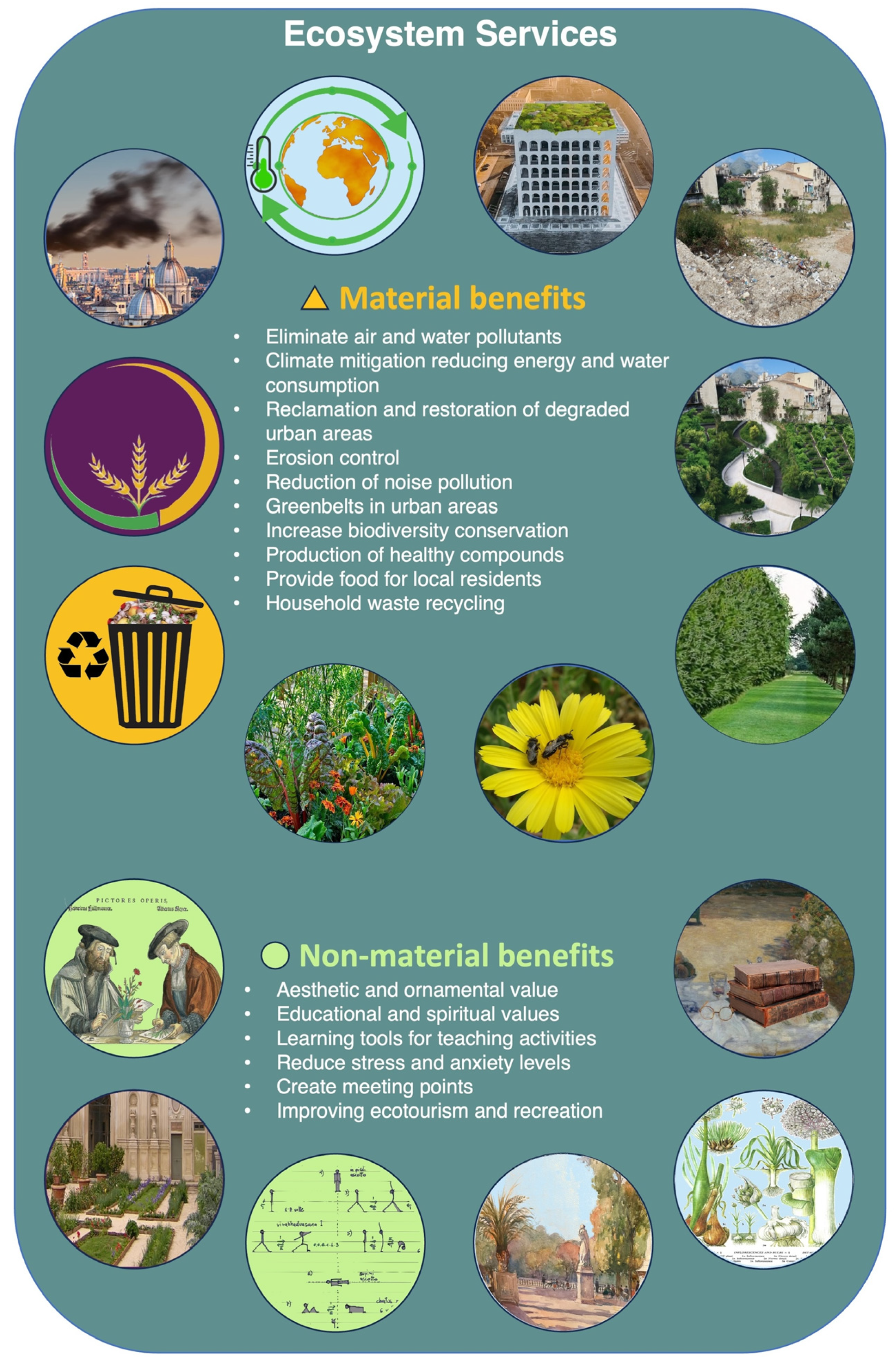 Plants 13 01133 g003