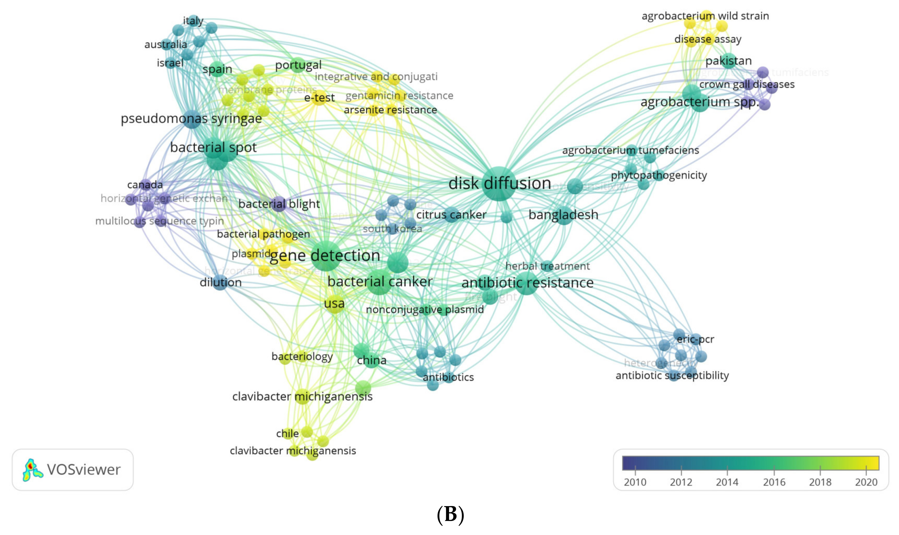 Plants 13 01135 g001b