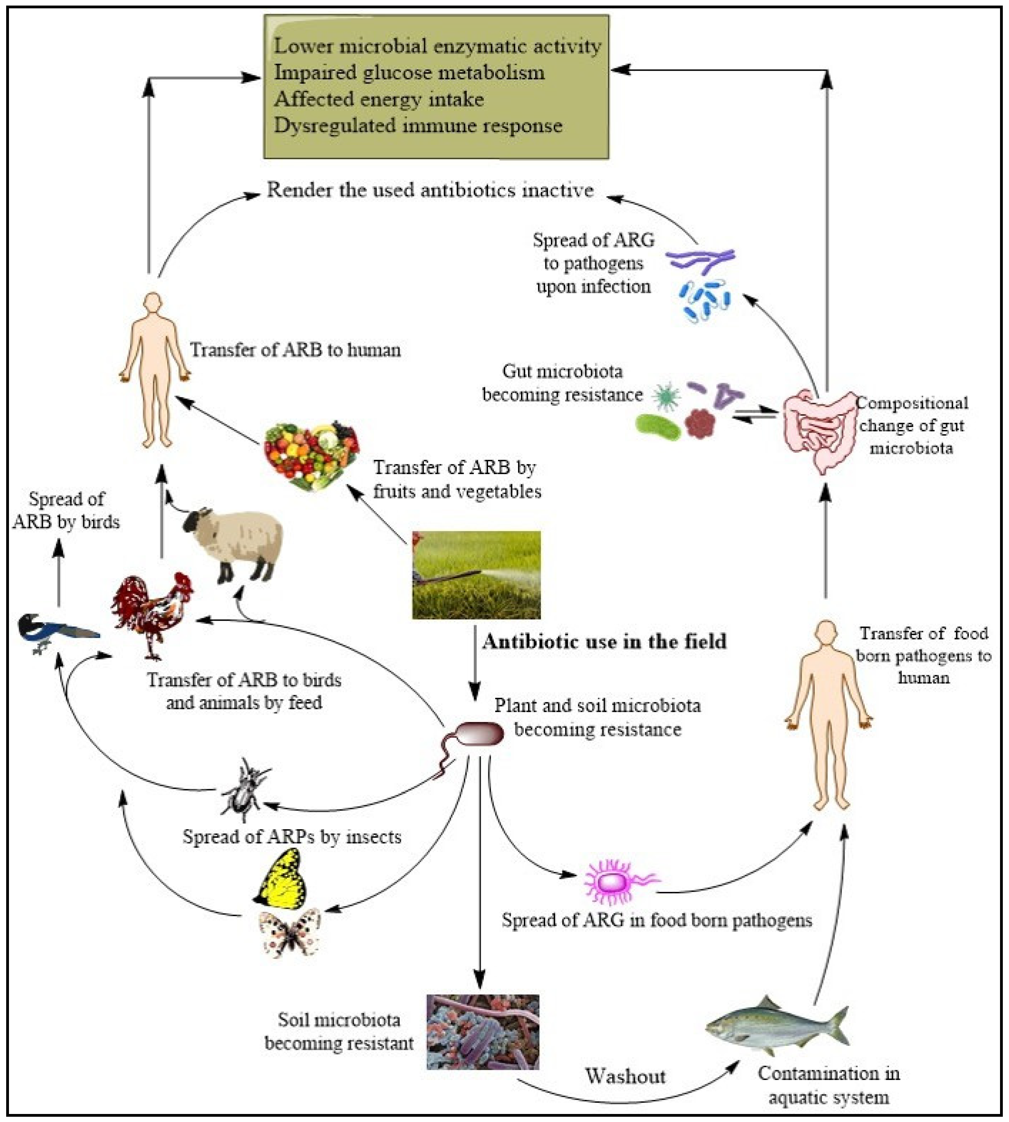 Plants 13 01135 g003