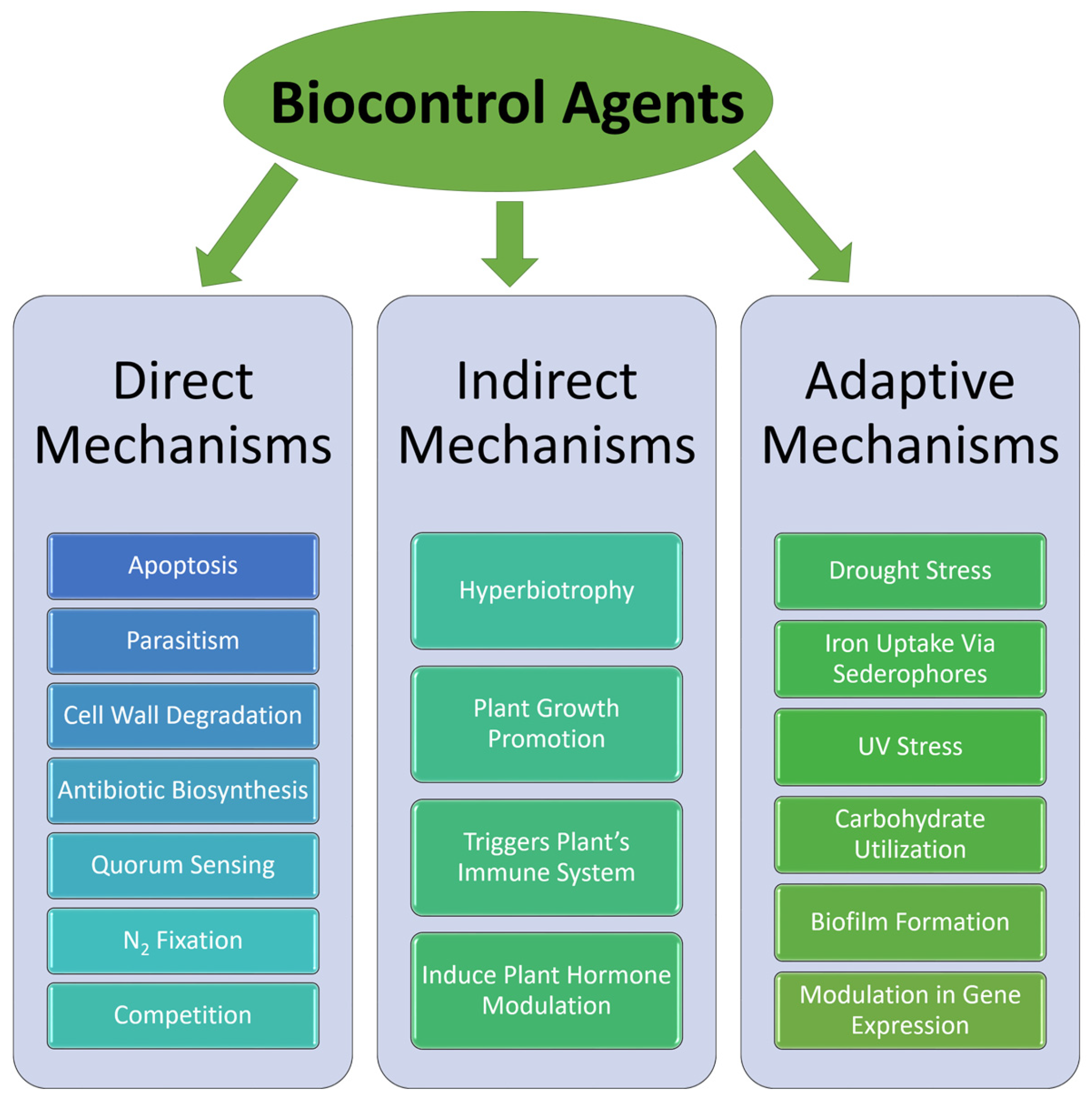 Plants 13 01135 g005