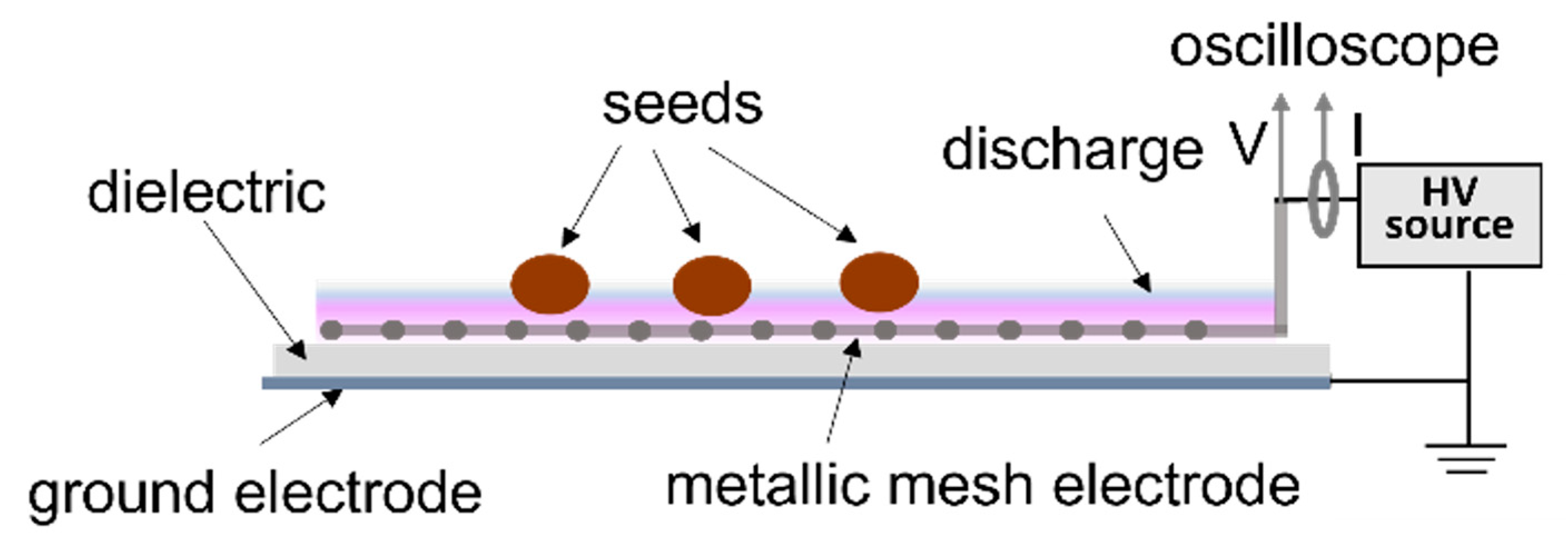 Plants 13 01140 g008