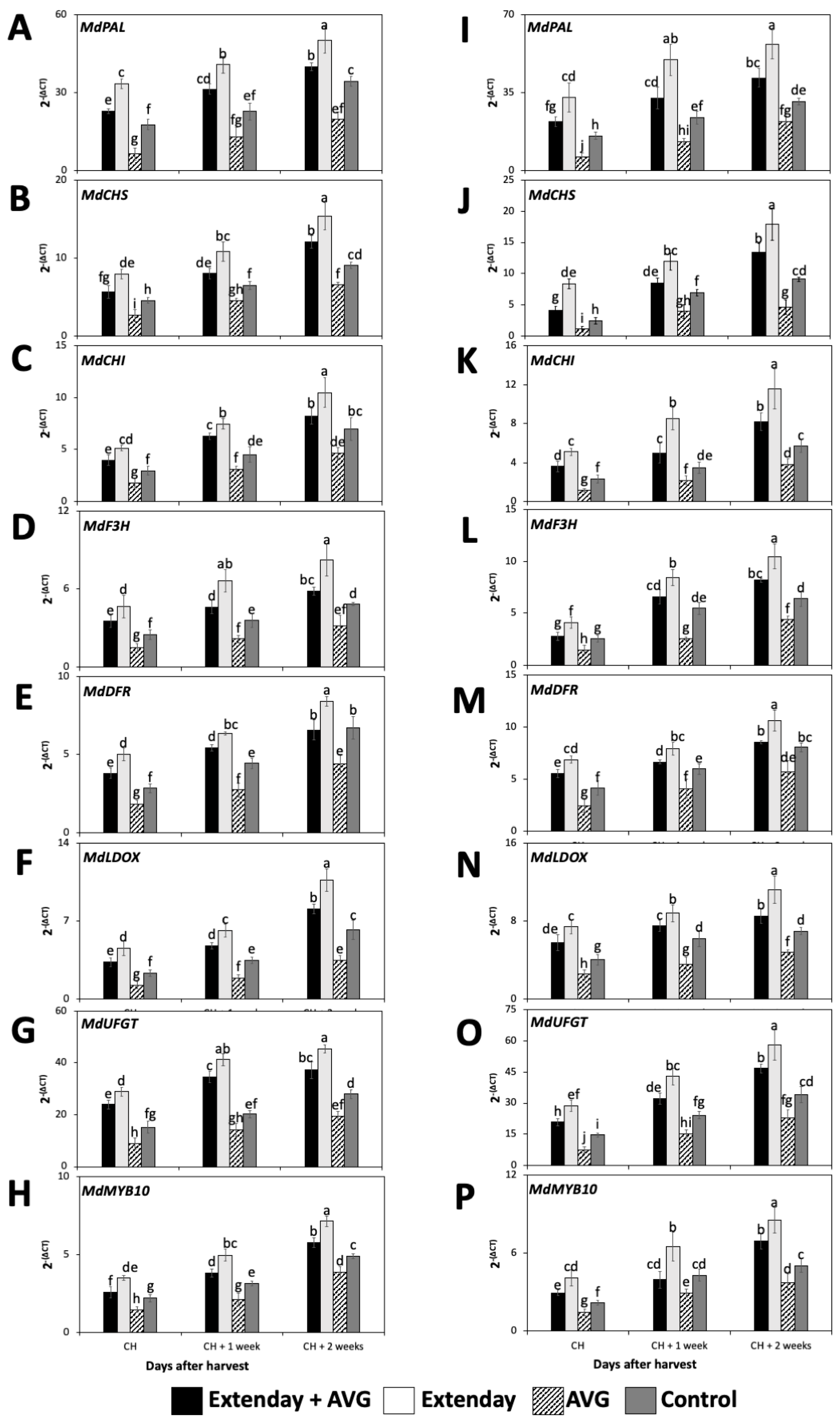 Plants 13 01141 g003