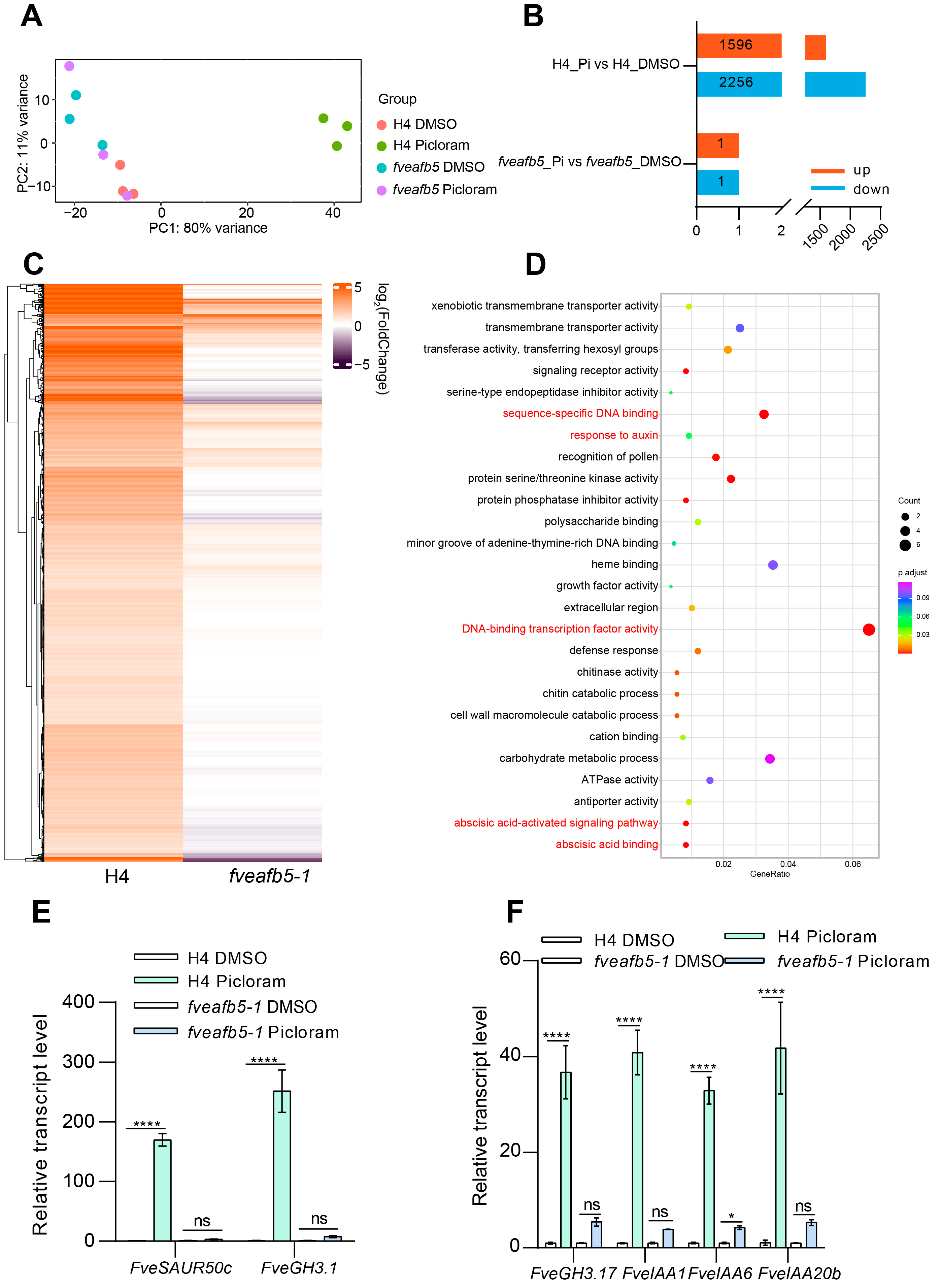 Plants 13 01142 g007