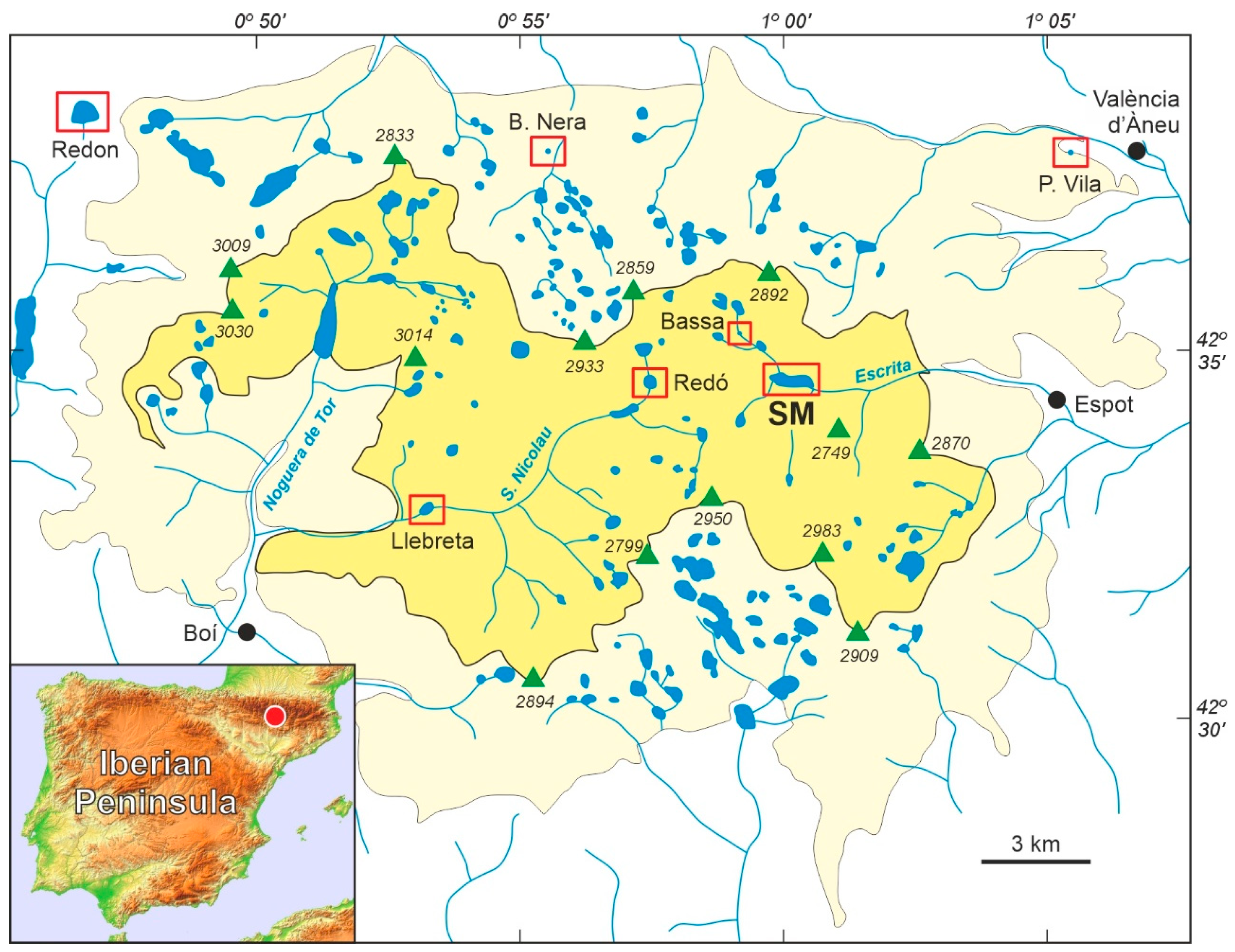 Plants 13 01144 g001