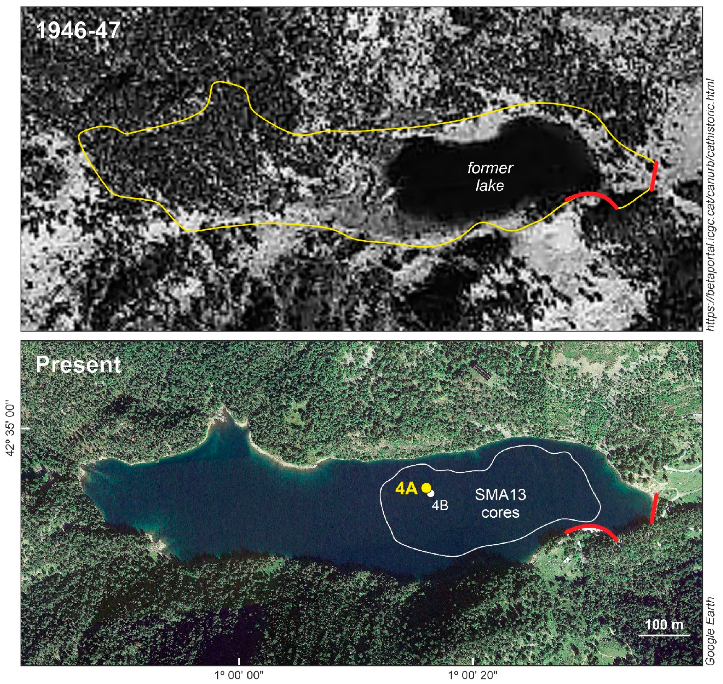 Plants 13 01144 g002