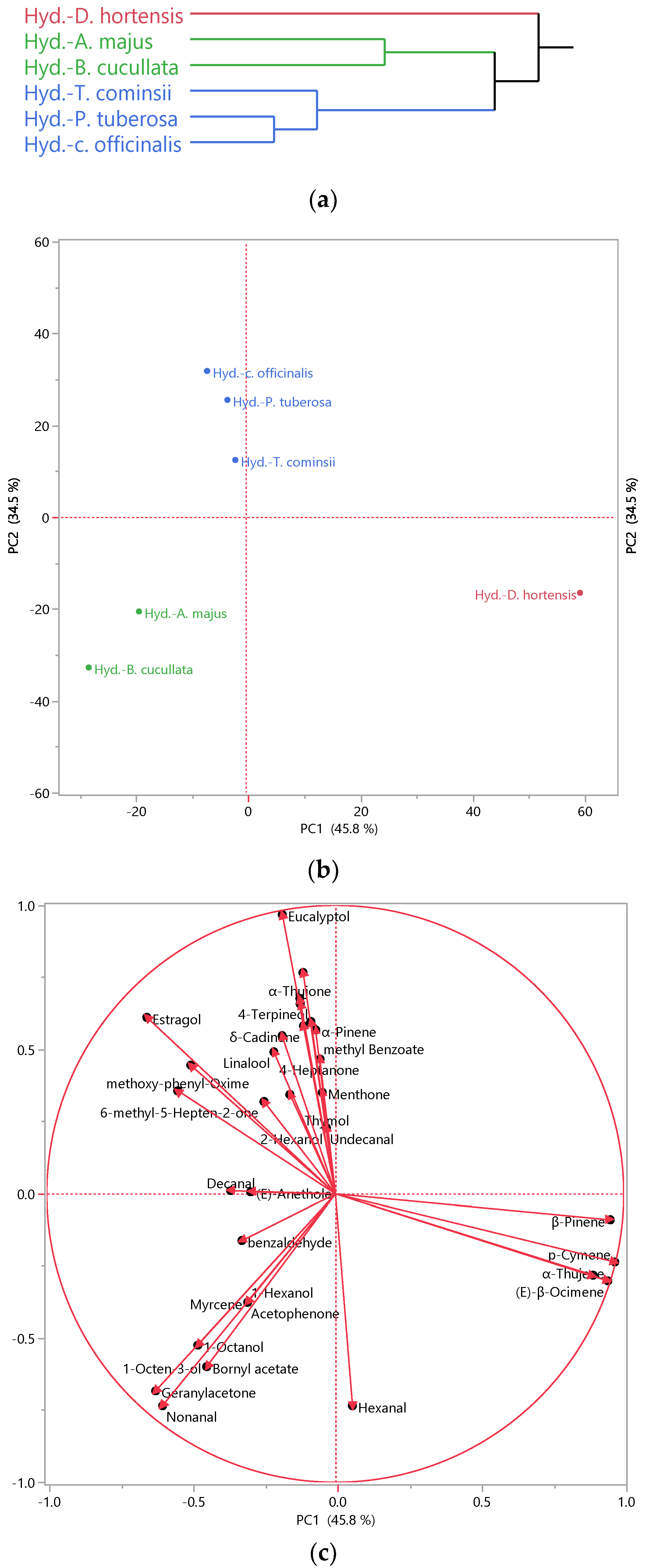 Plants 13 01145 g001