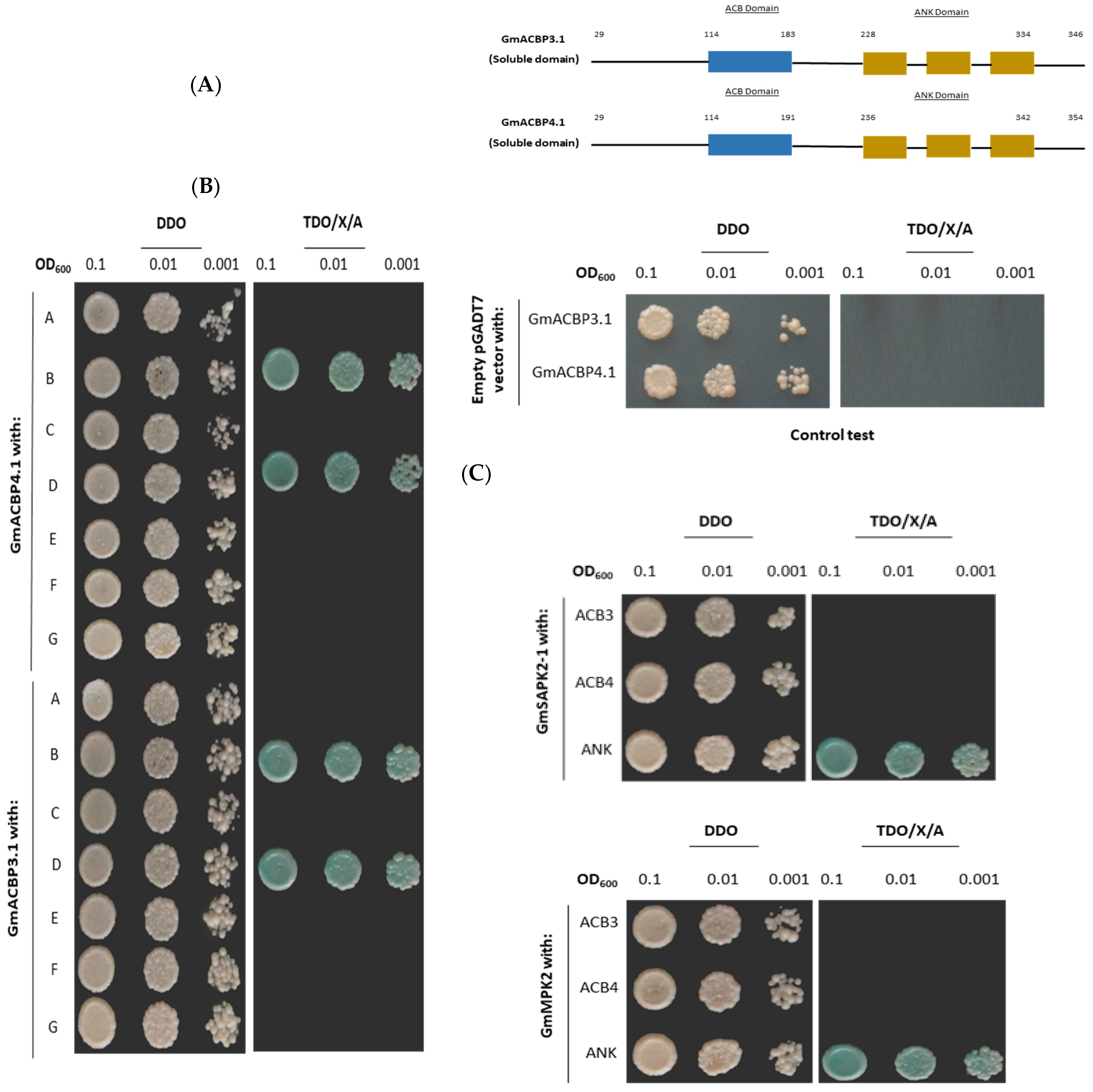 Plants 13 01146 g001