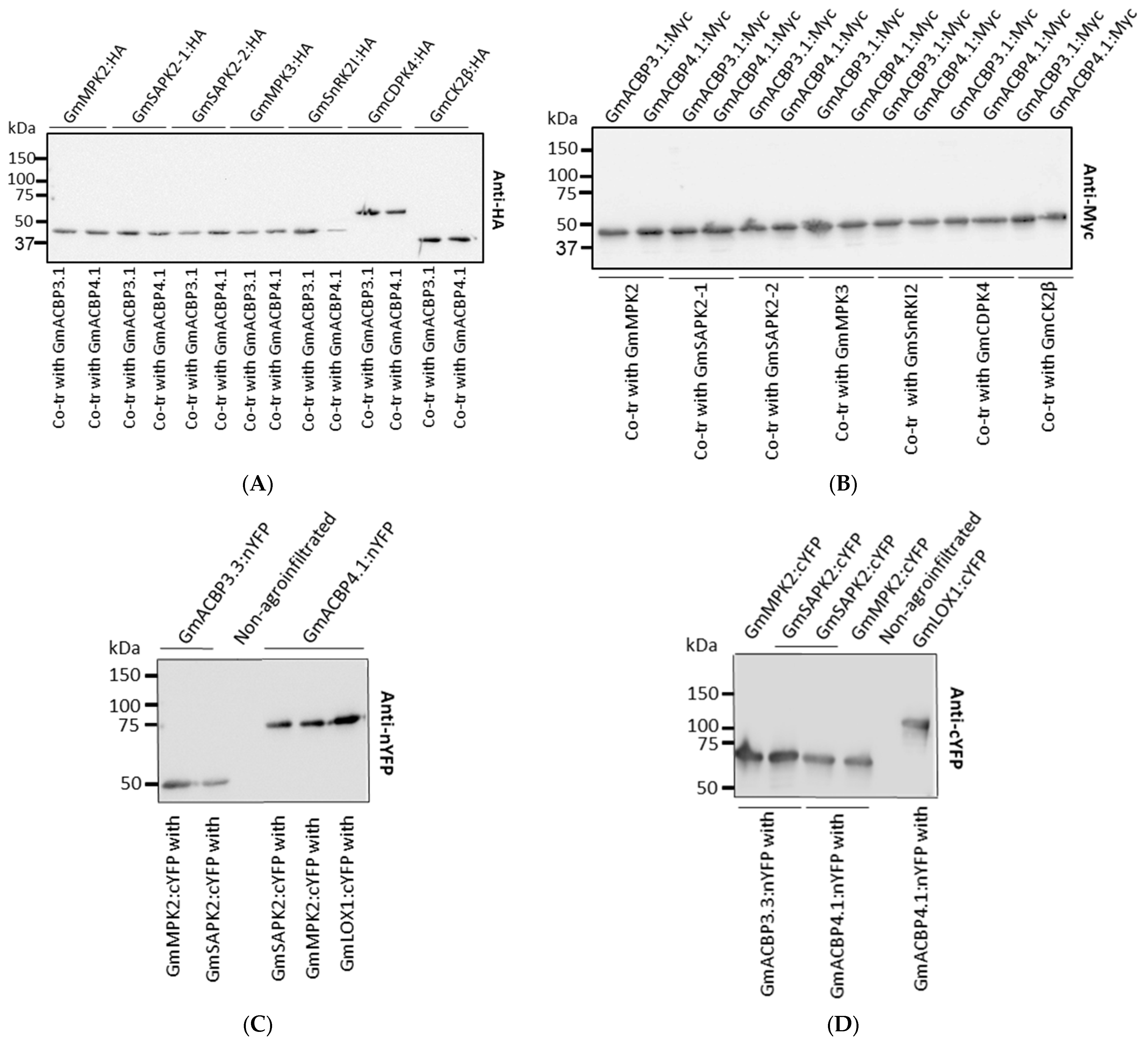 Plants 13 01146 g003