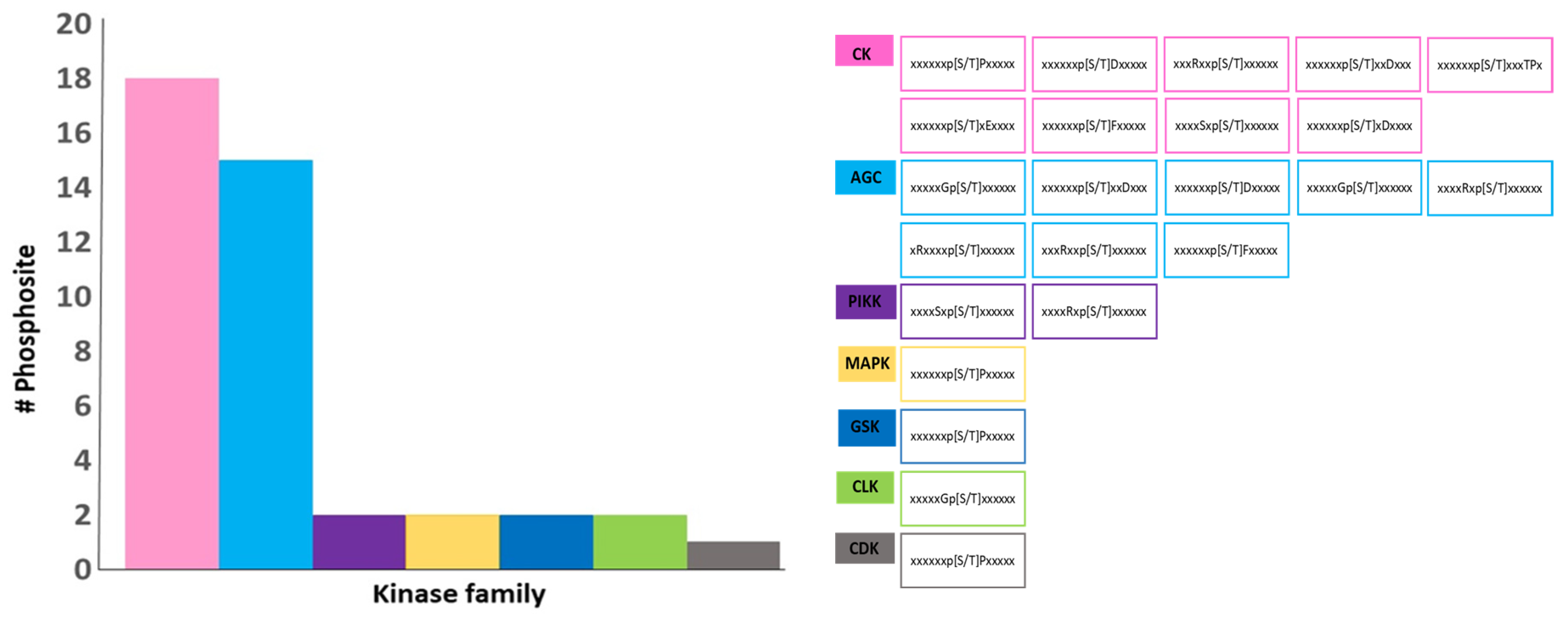 Plants 13 01146 g006