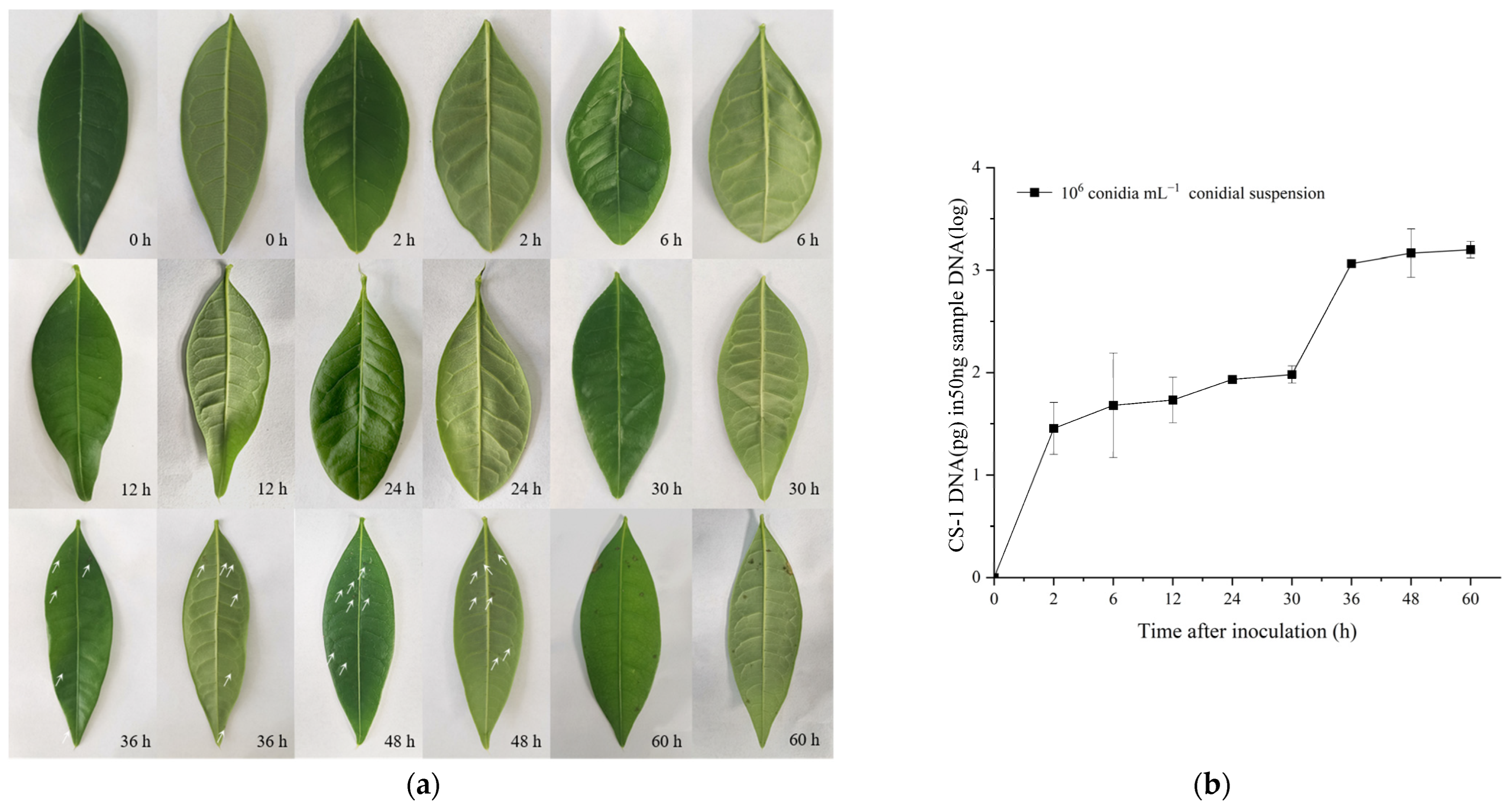 Plants 13 01149 g006