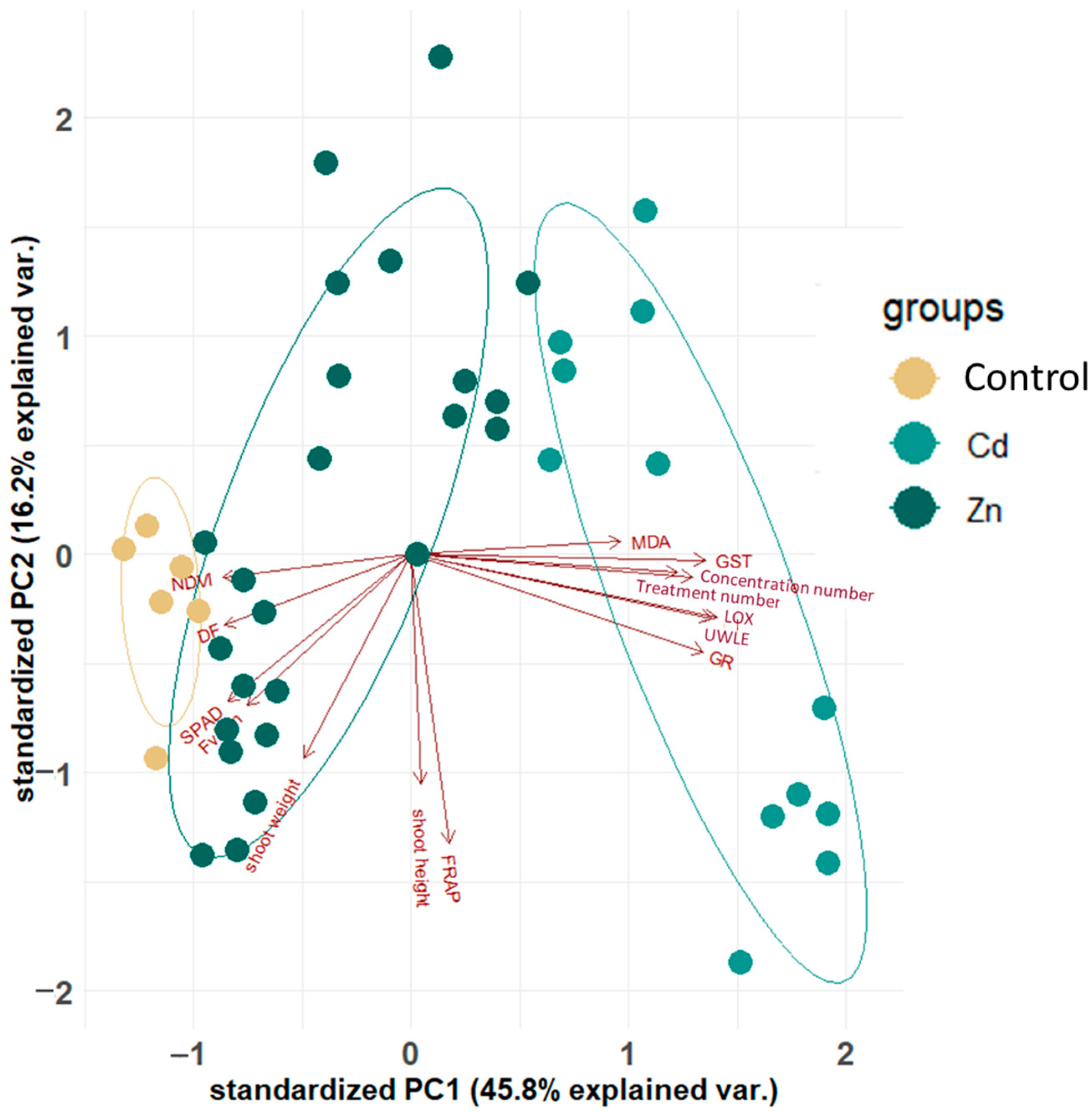 Plants 13 01150 g001