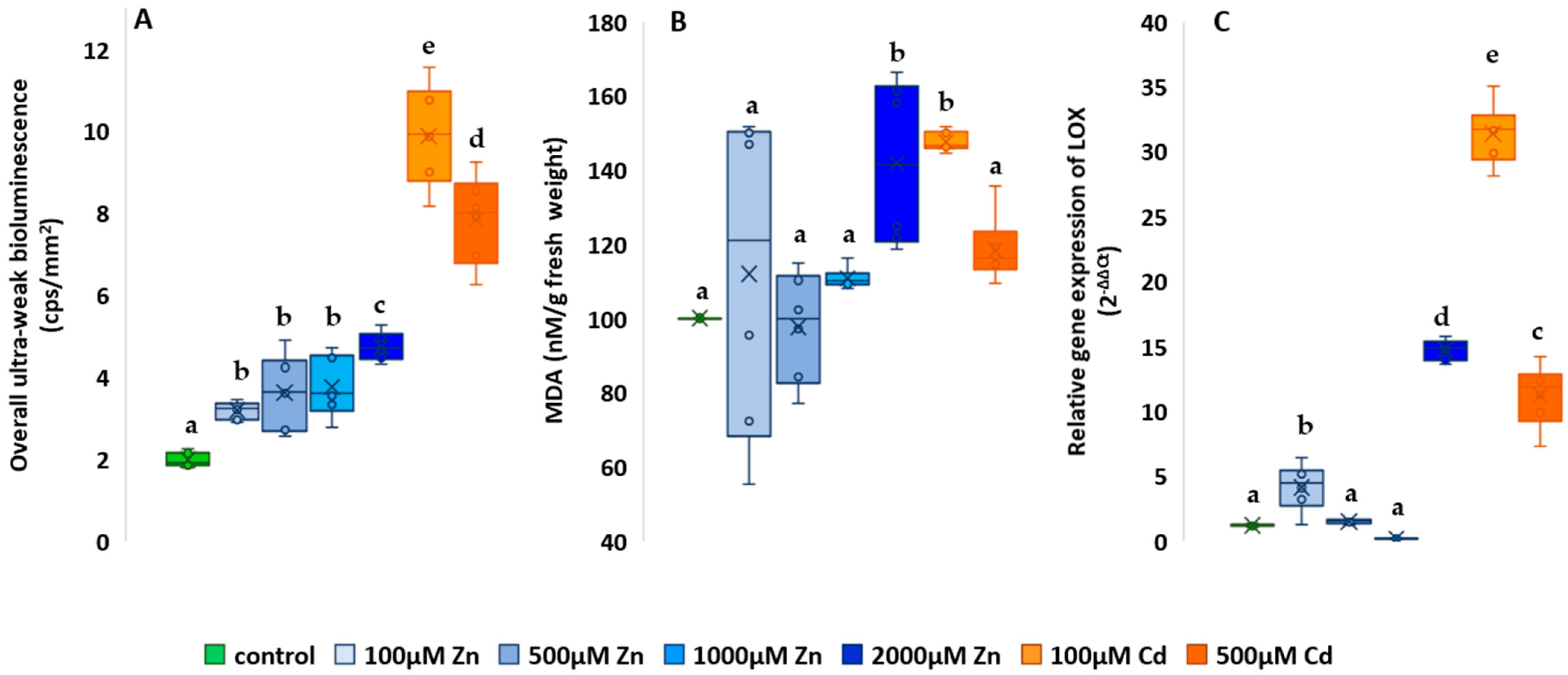 Plants 13 01150 g008