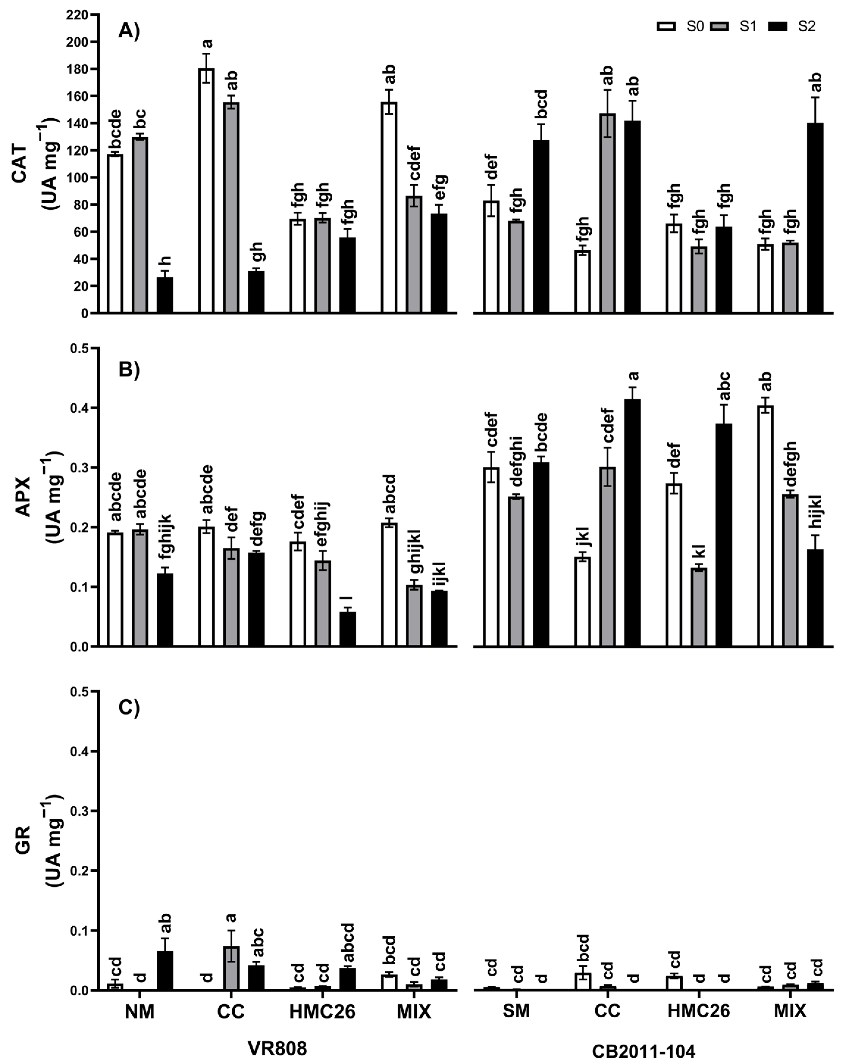 Plants 13 01153 g003
