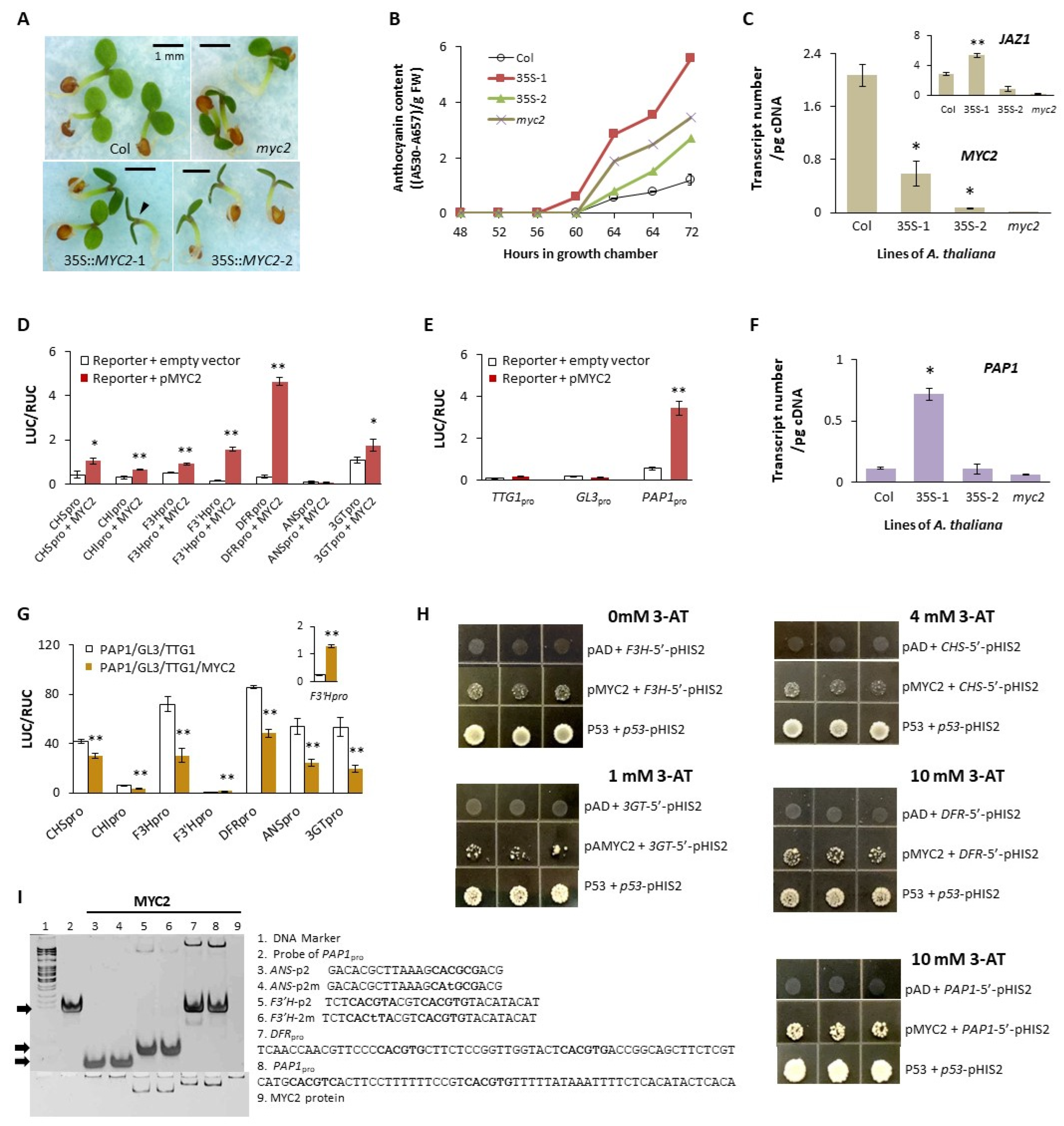 Plants 13 01156 g001