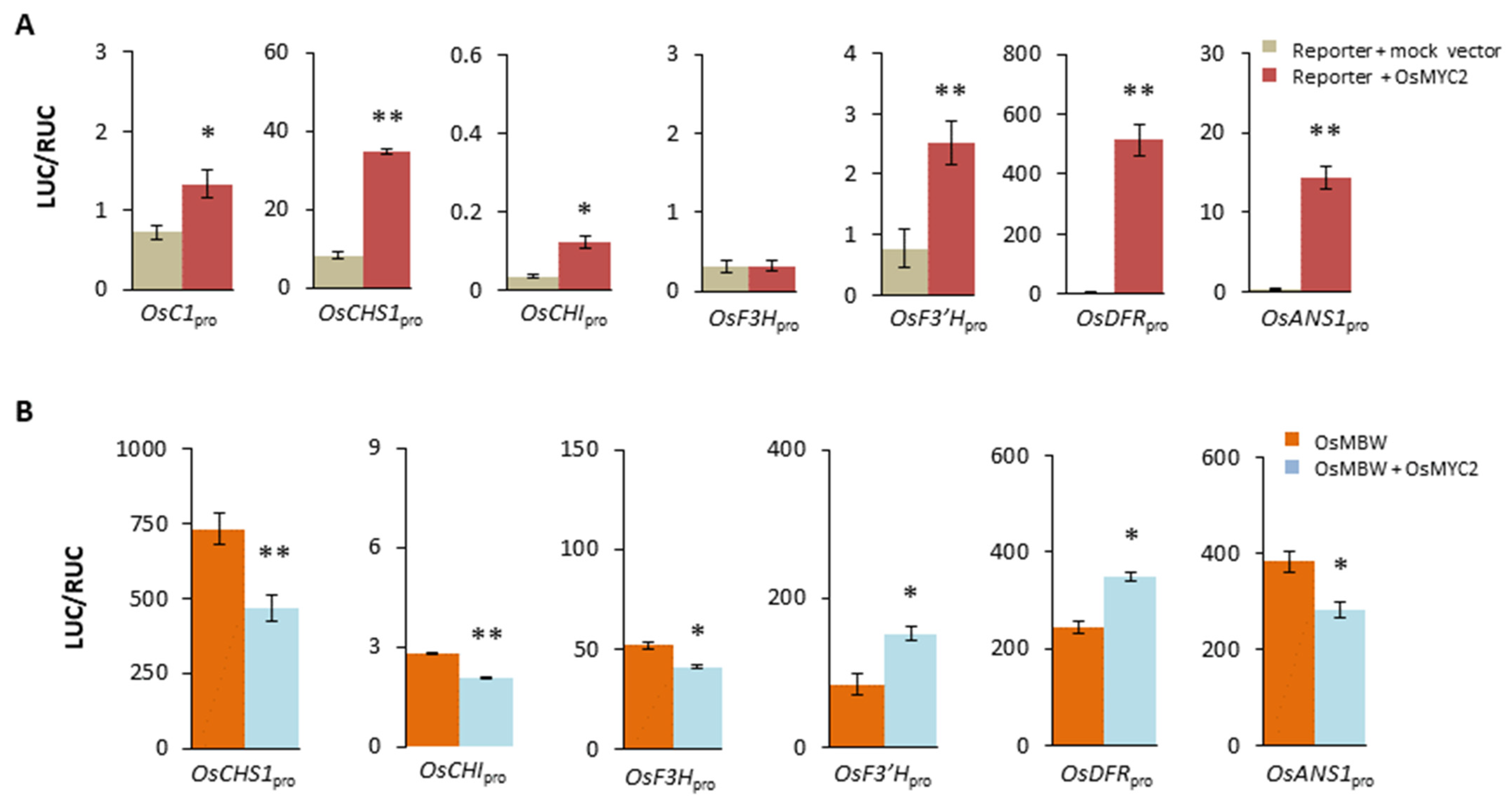 Plants 13 01156 g002