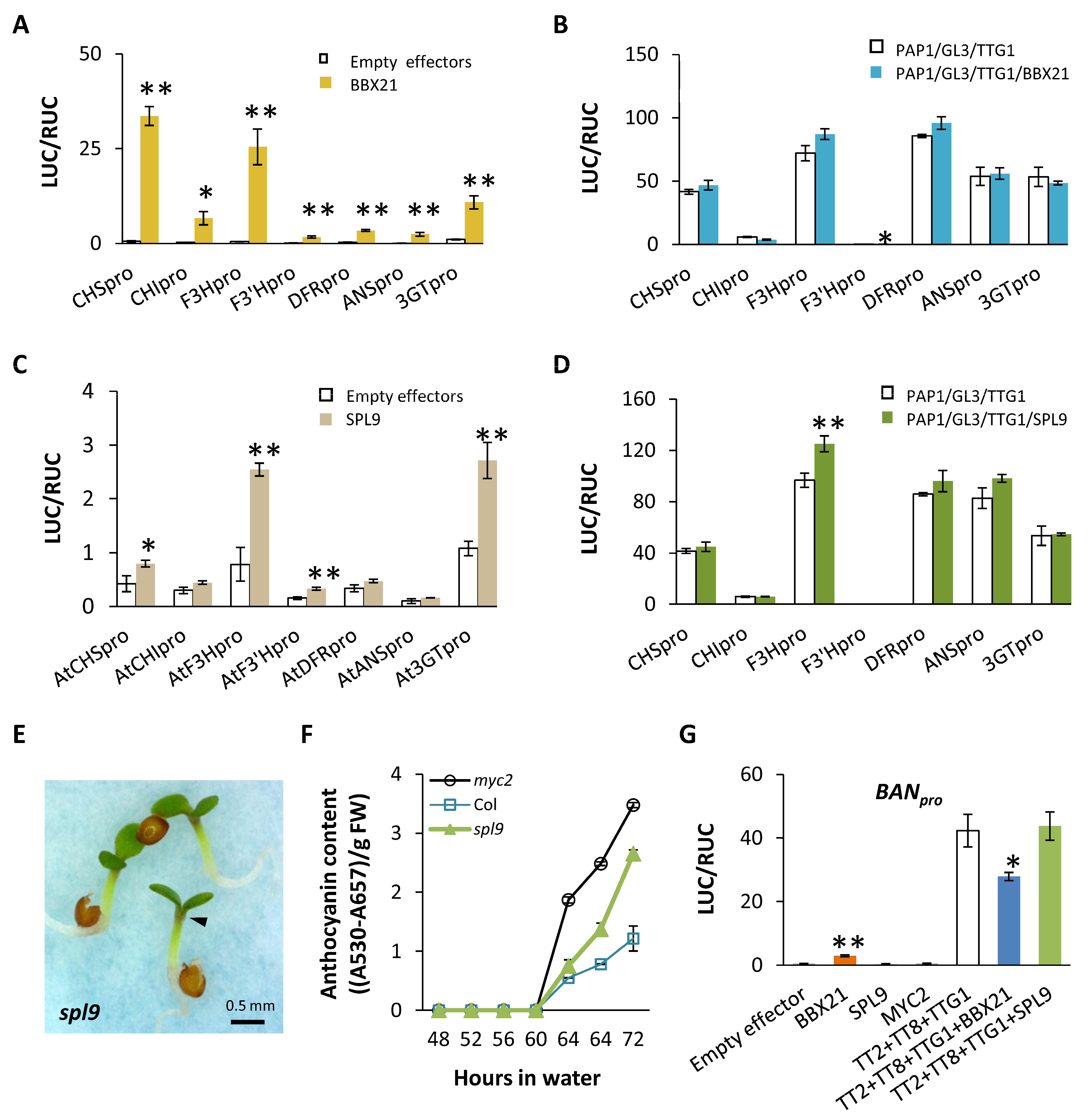 Plants 13 01156 g005