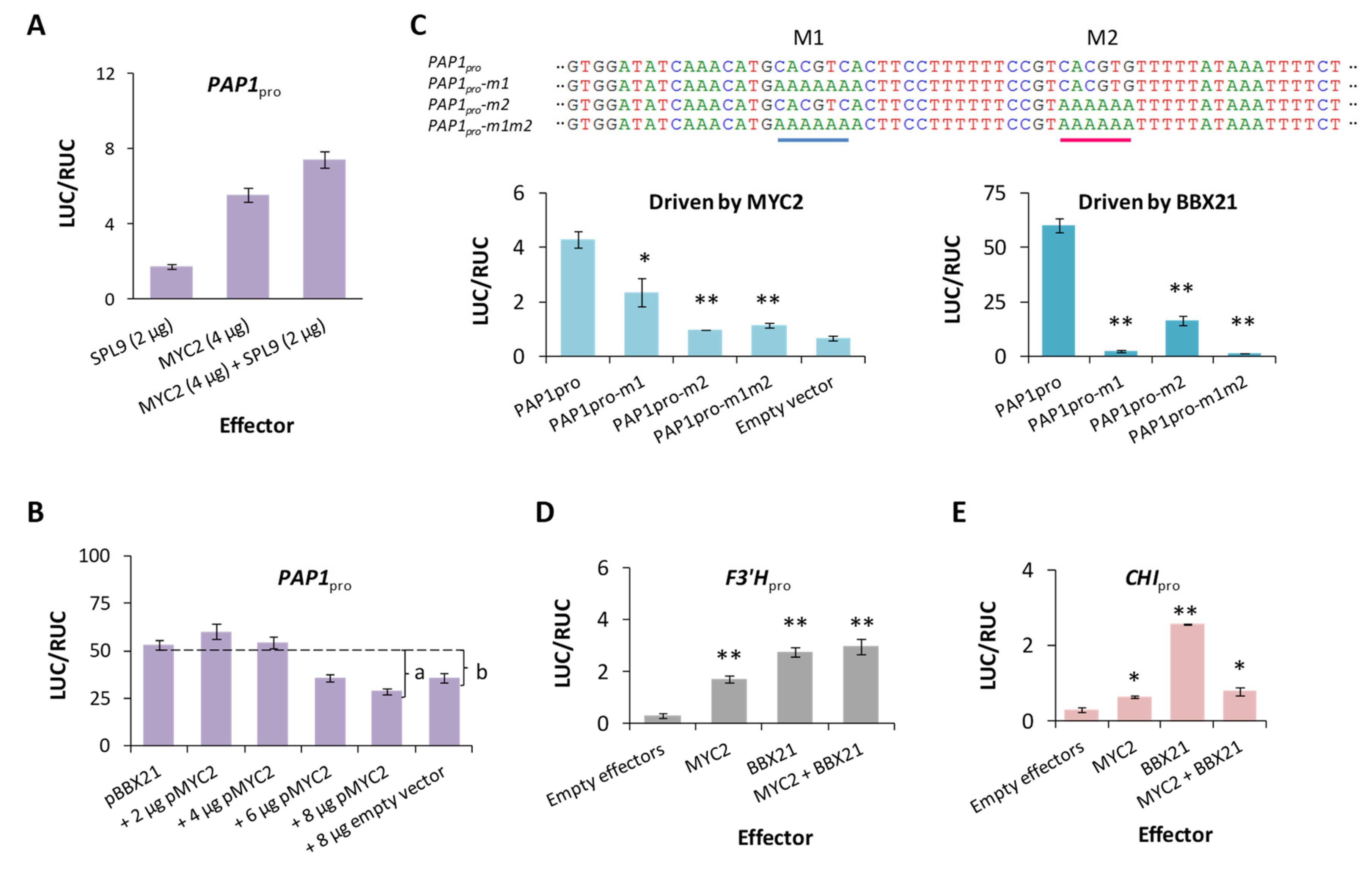 Plants 13 01156 g006
