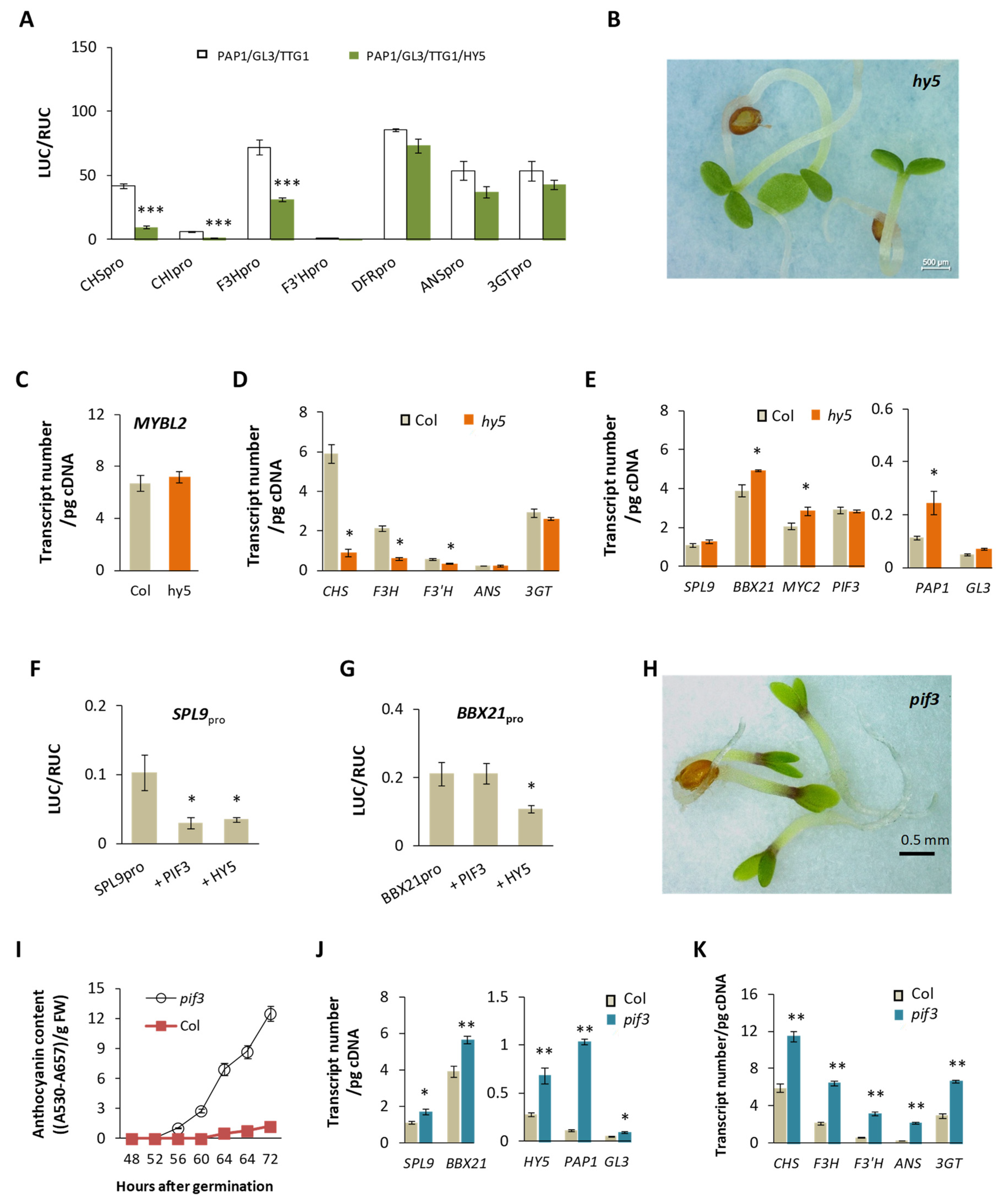 Plants 13 01156 g007