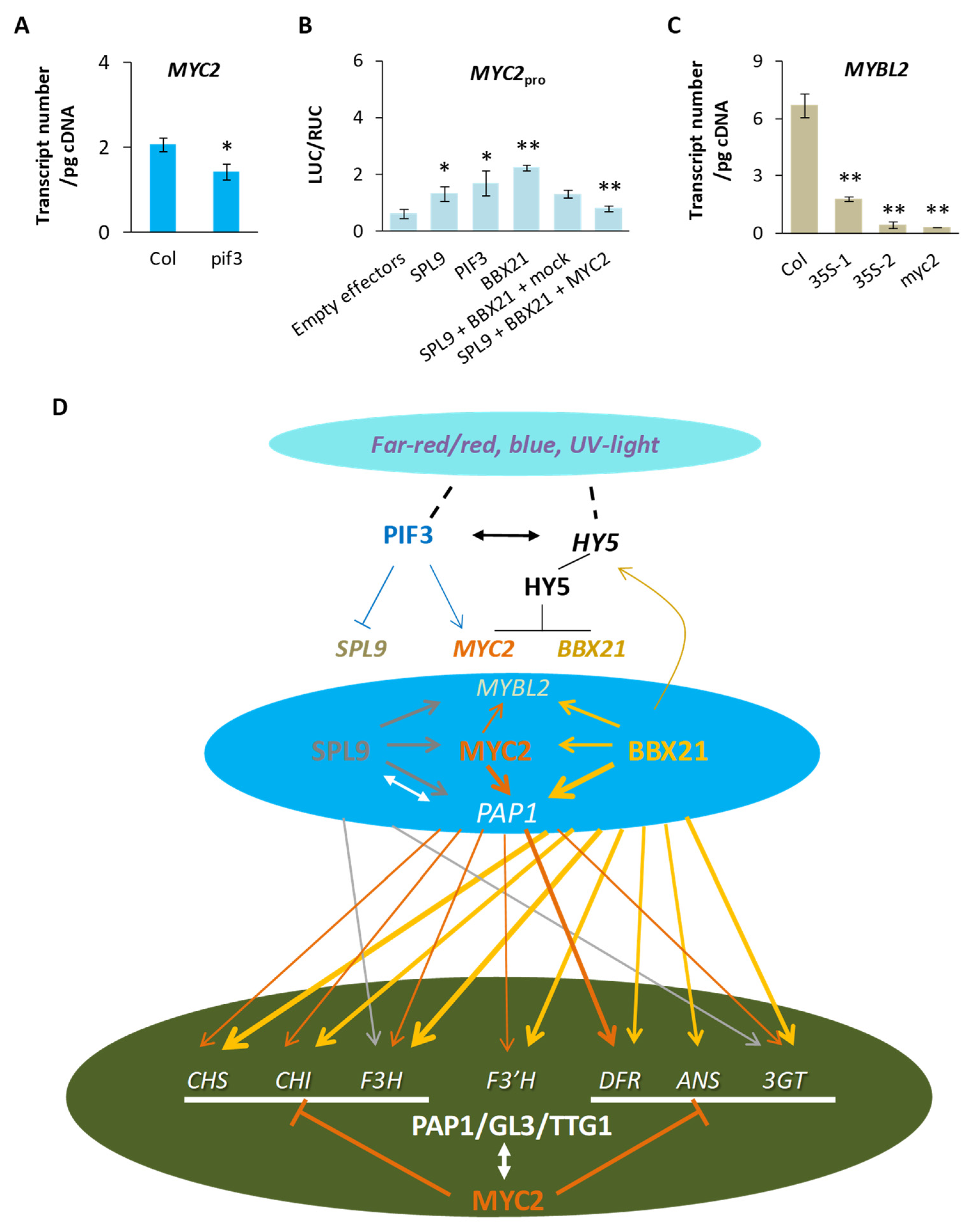 Plants 13 01156 g008