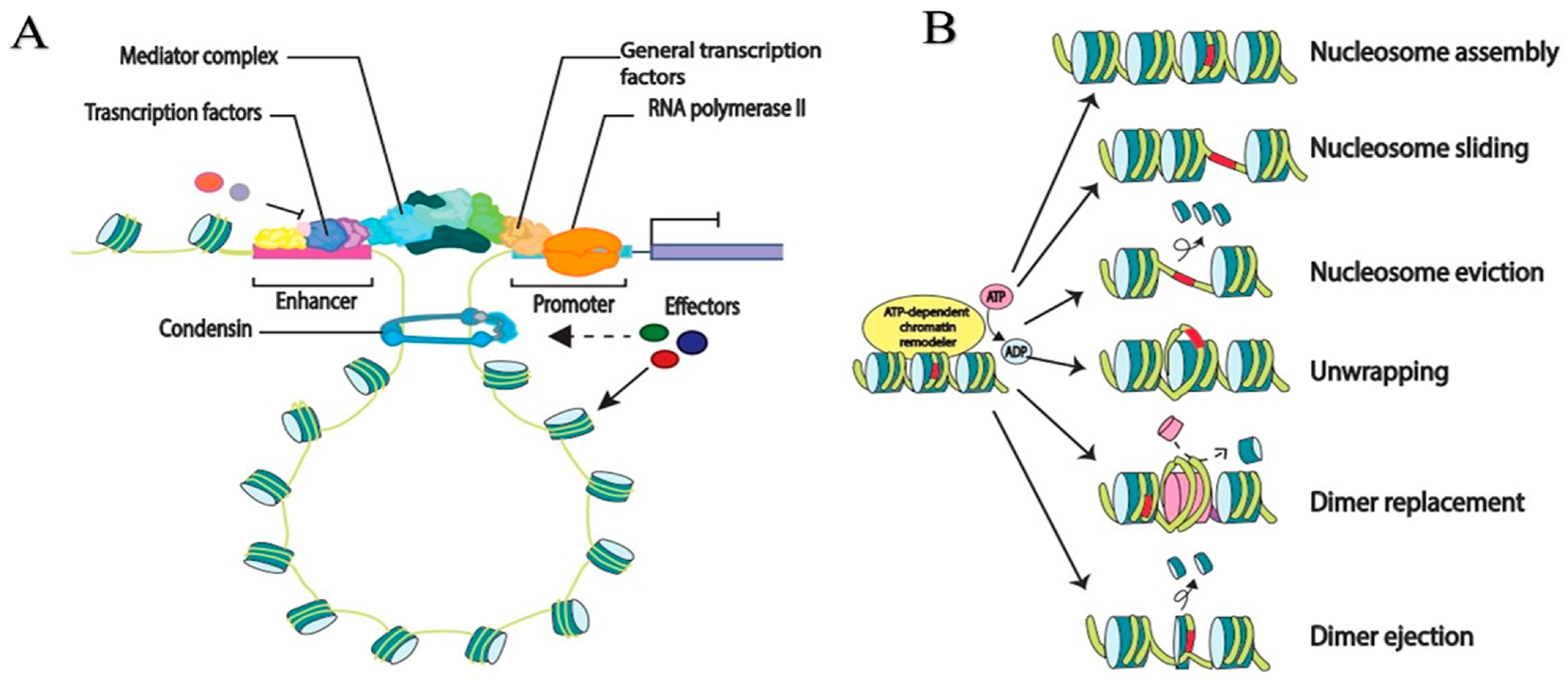 Plants 13 01159 g003