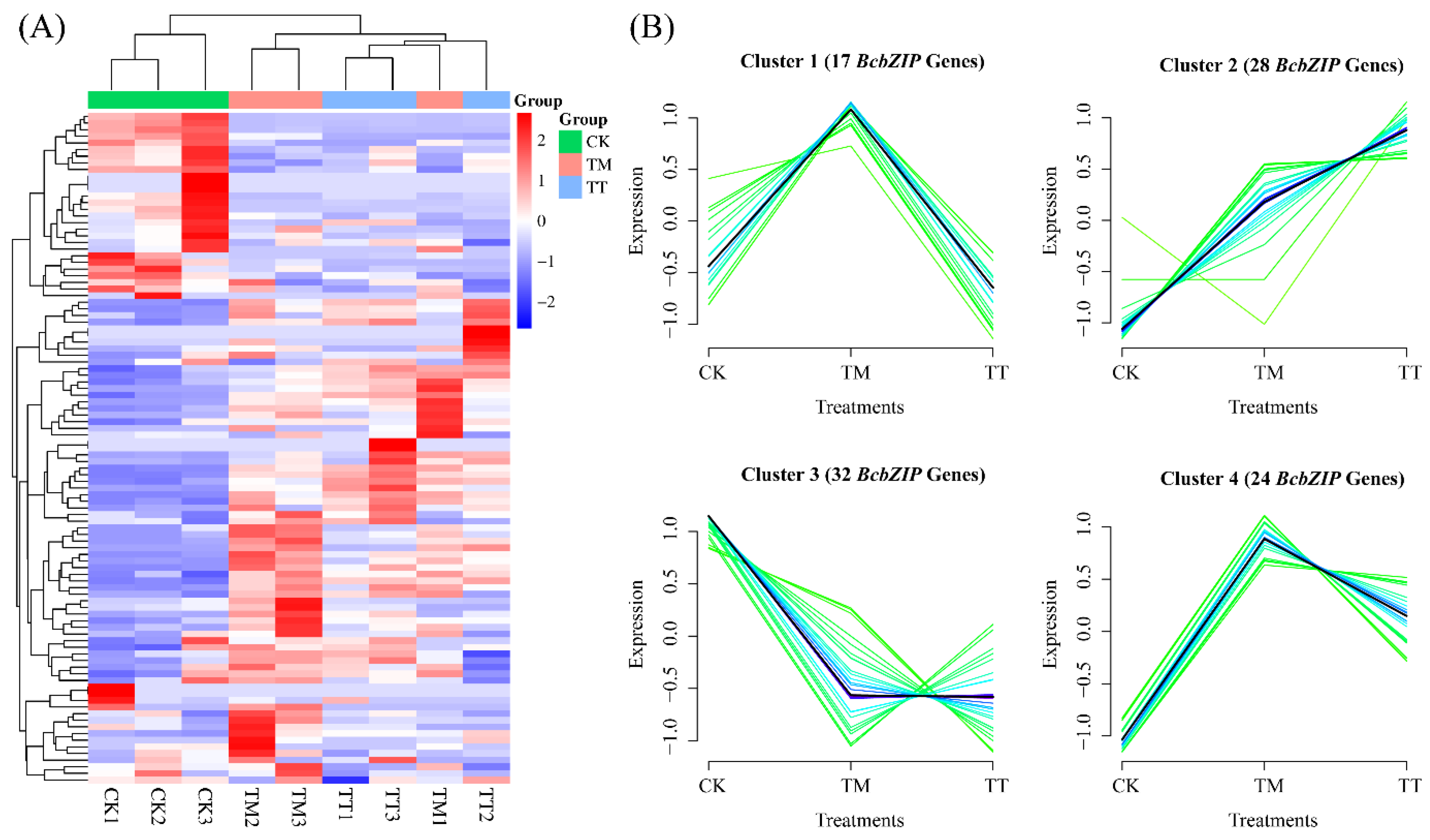 Plants 13 01160 g005