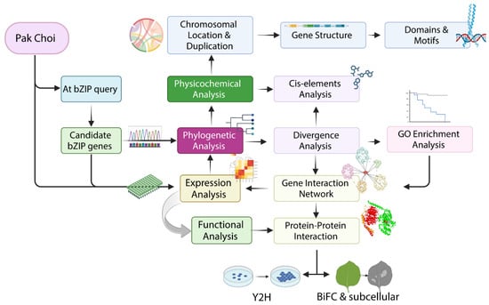 Plants 13 01160 g009