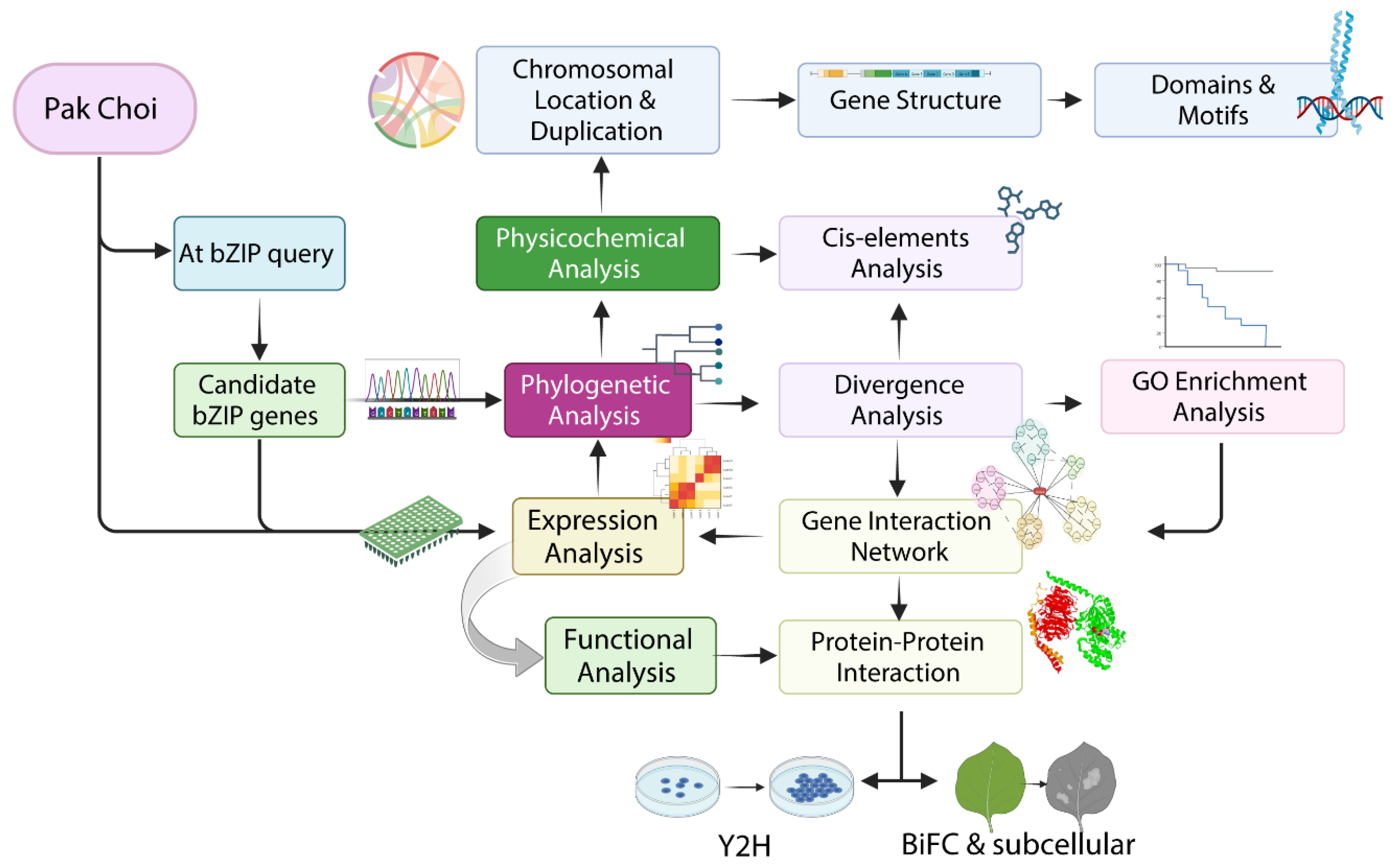 Plants 13 01160 g009