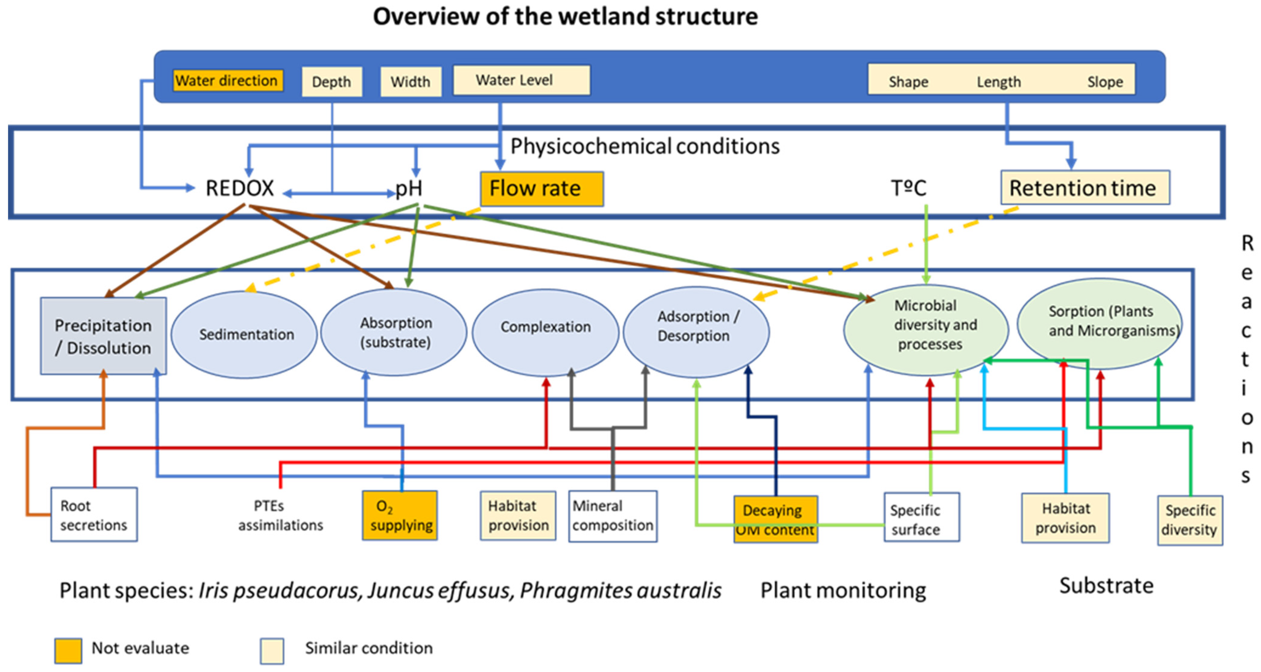 Plants 13 01161 g002