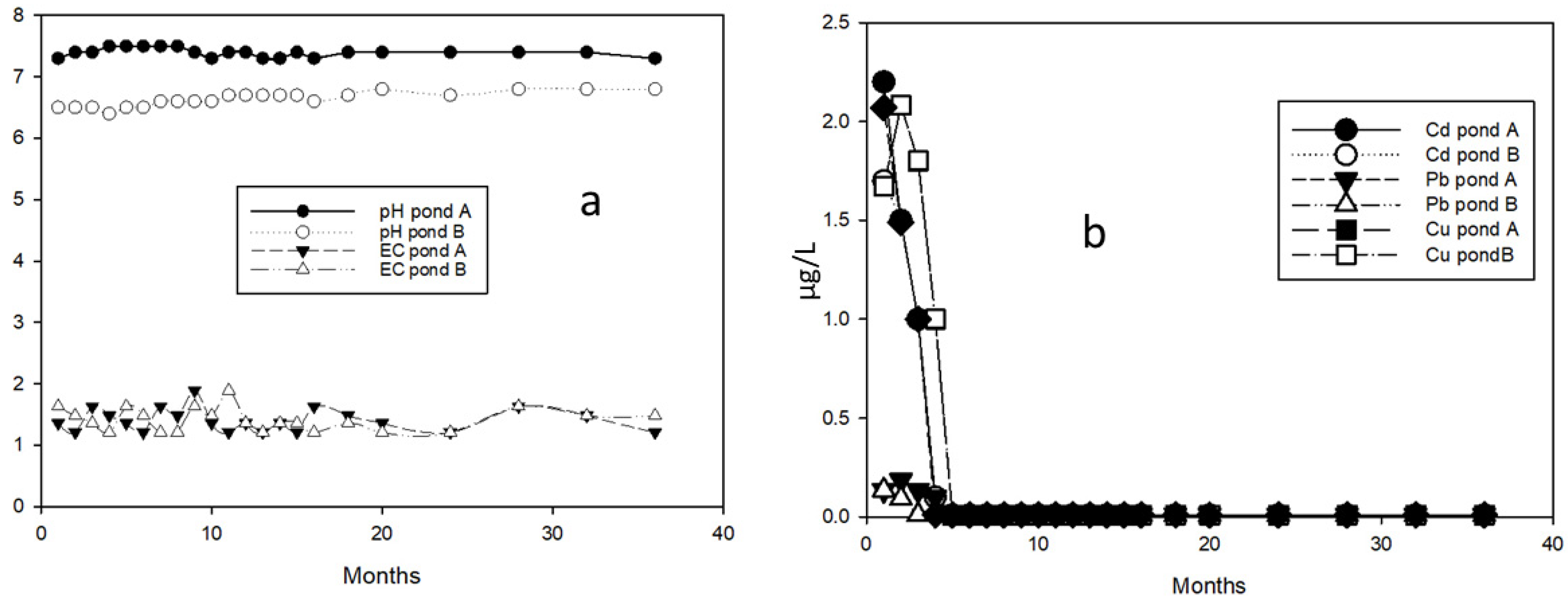Plants 13 01161 g003