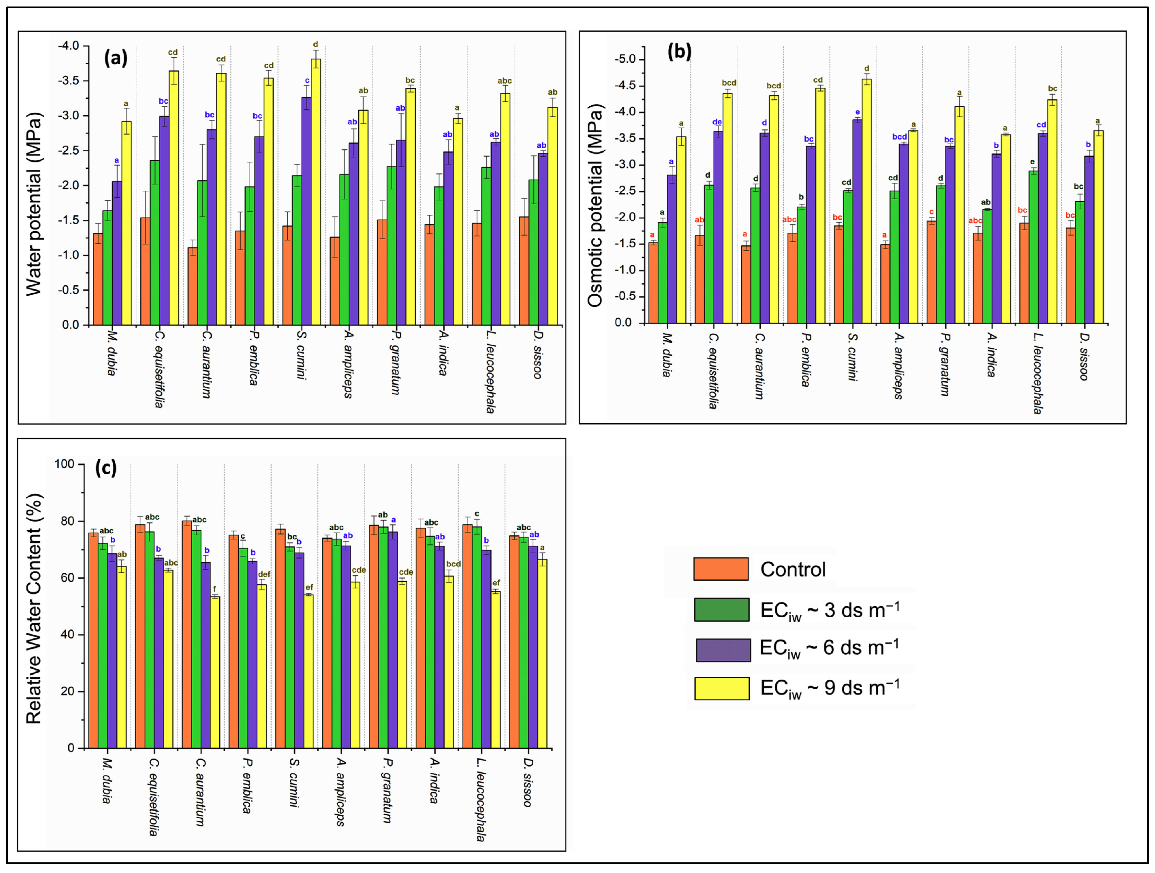 Plants 13 01162 g001