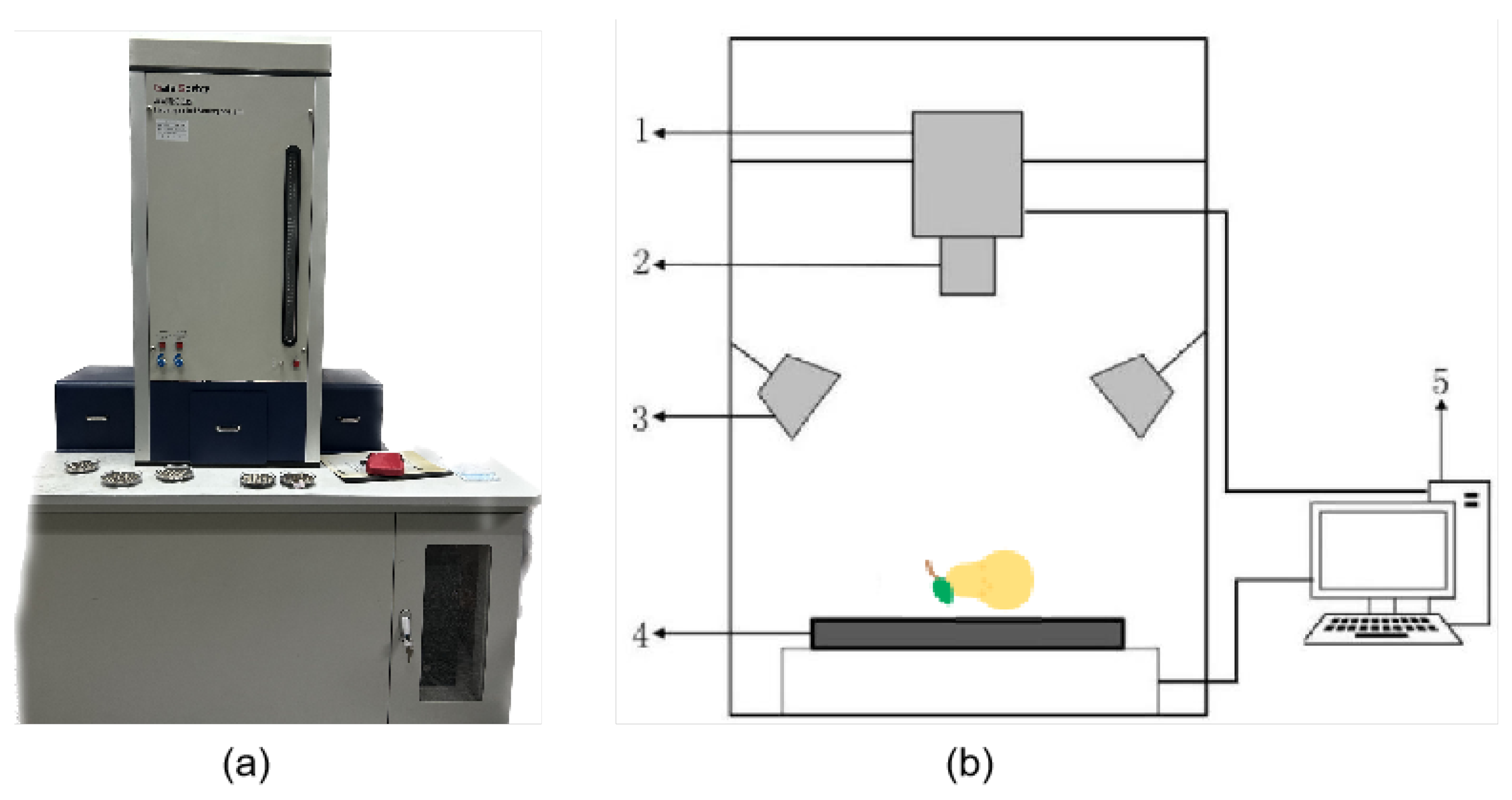 Plants 13 01163 g002