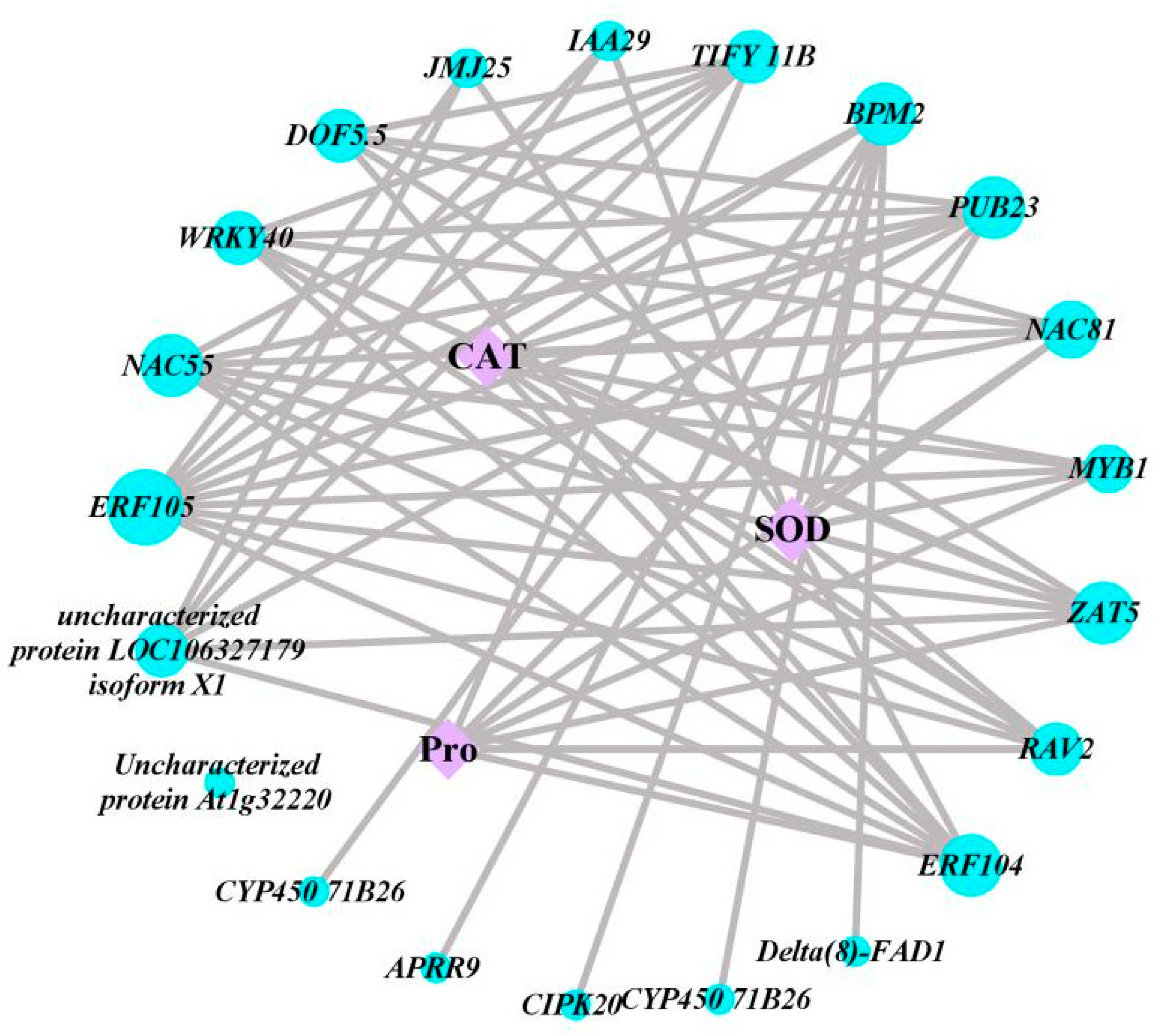 Plants 13 01167 g005