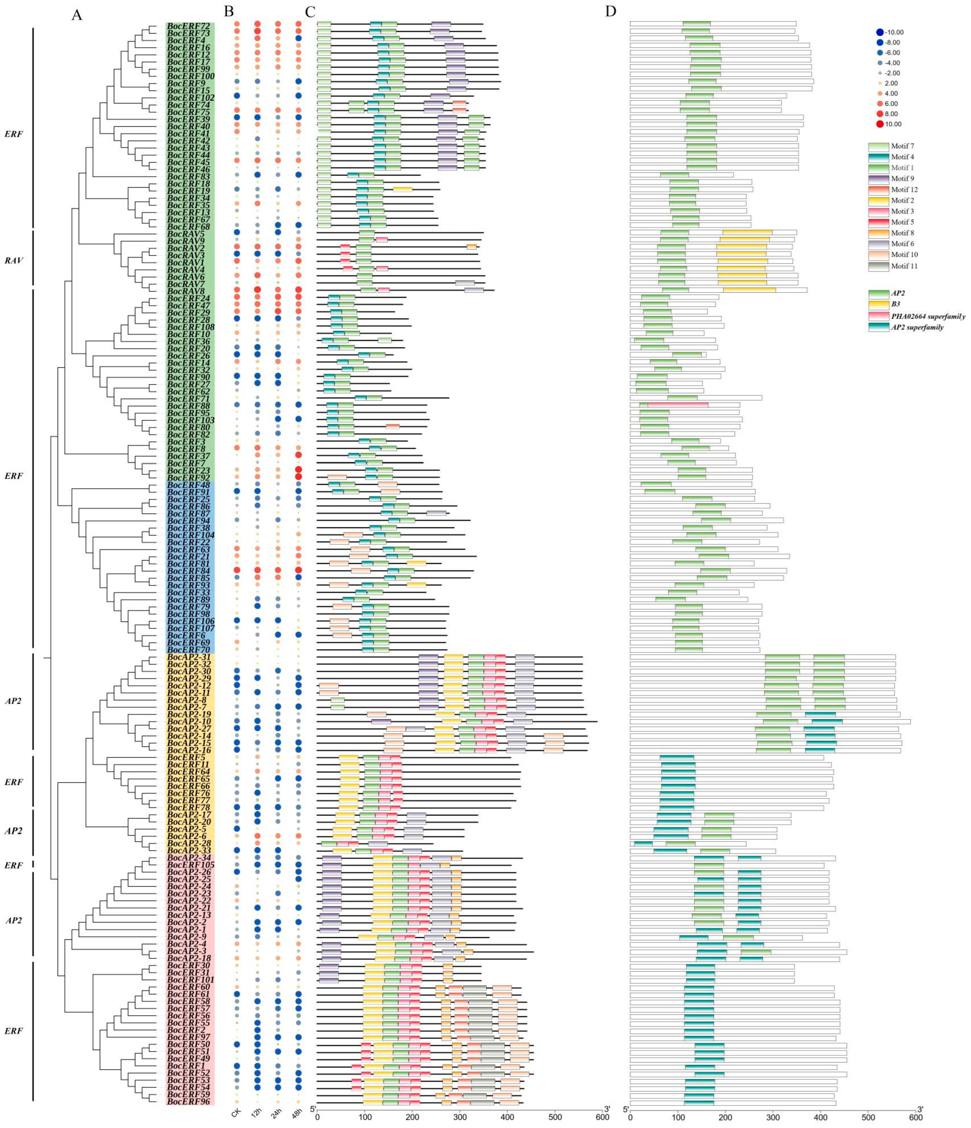 Plants 13 01167 g006