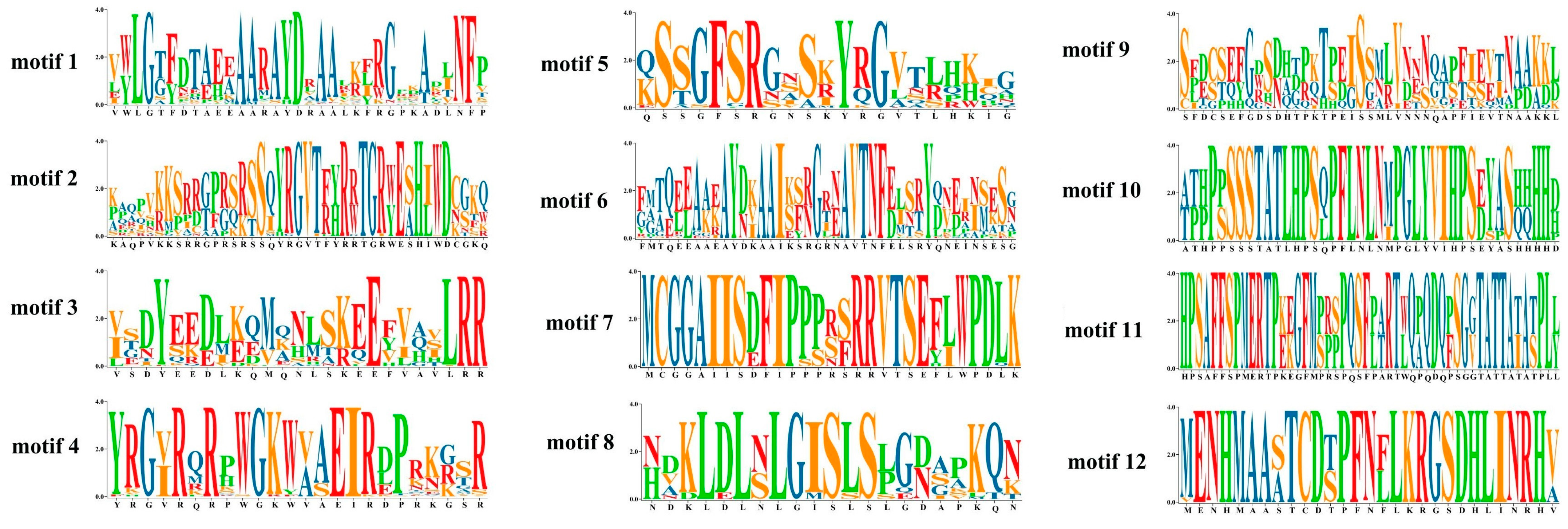 Plants 13 01167 g007