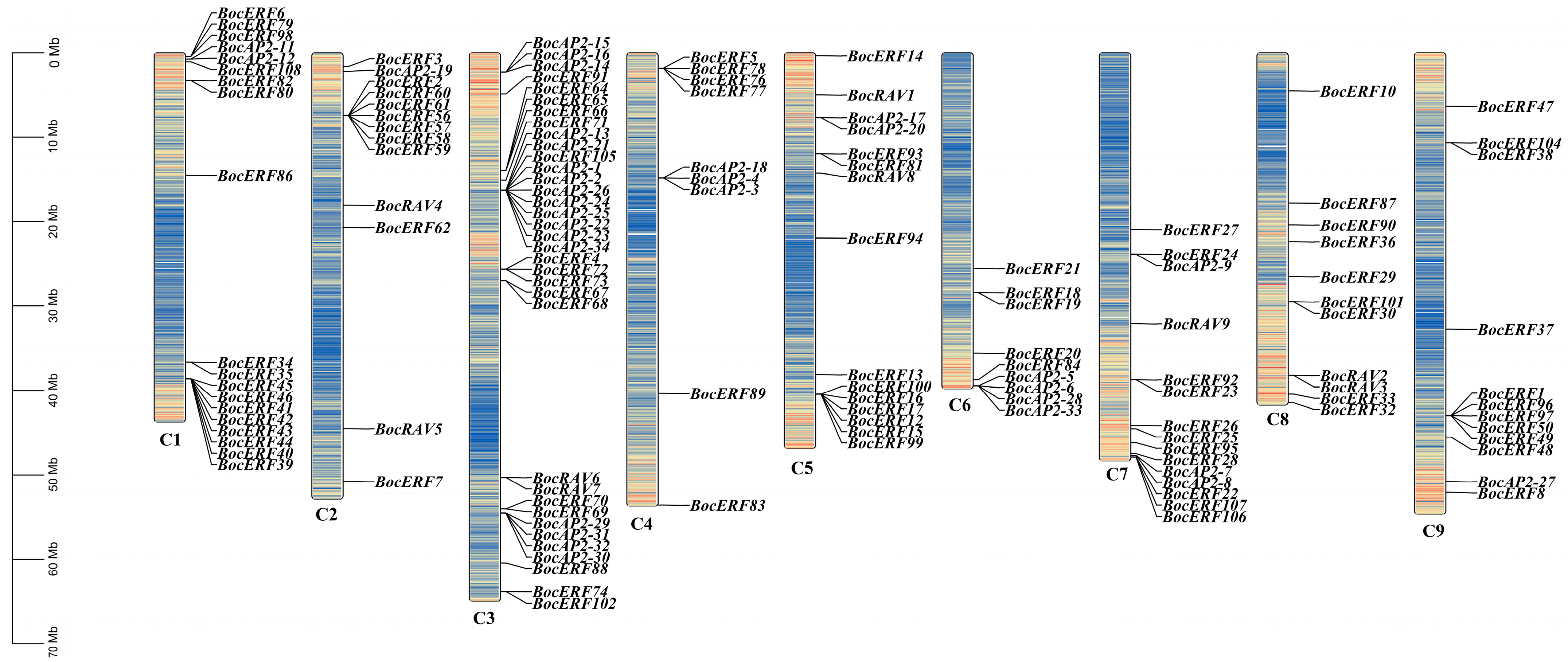 Plants 13 01167 g008
