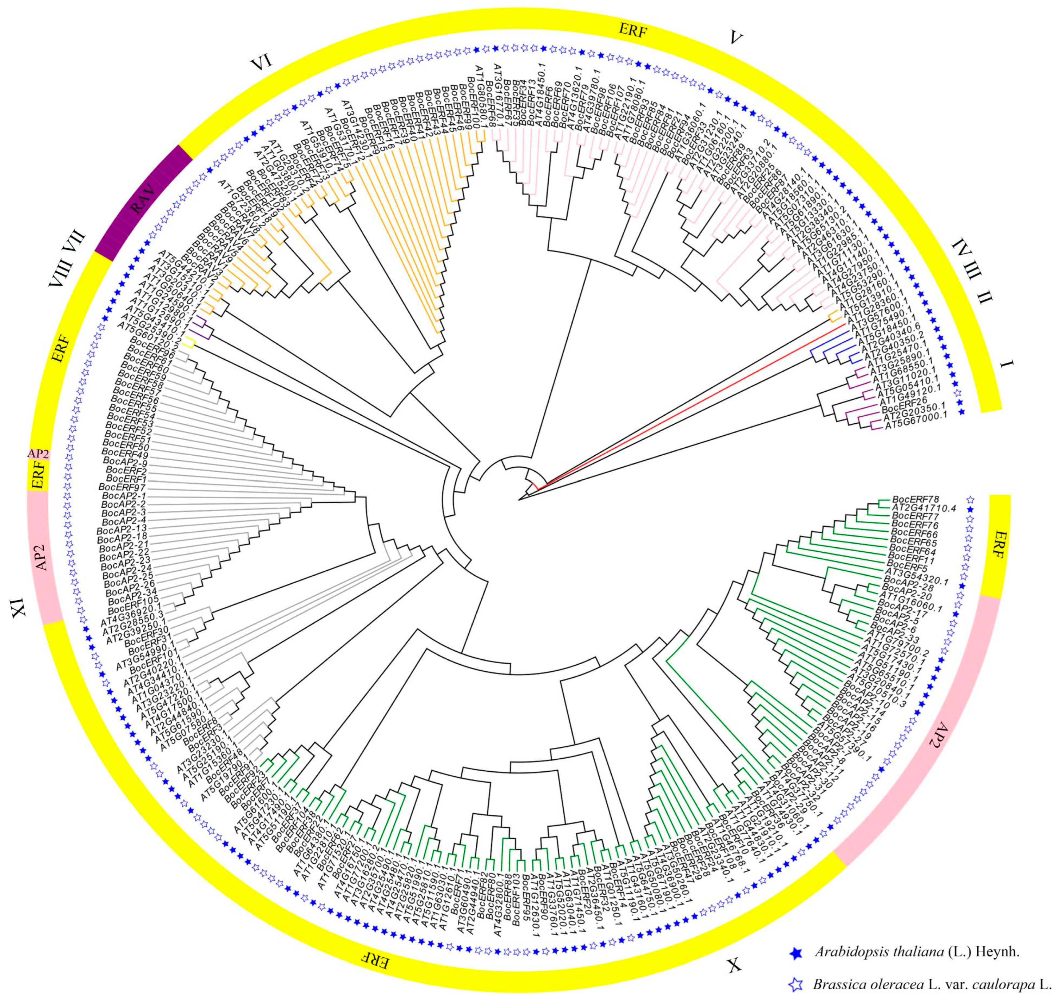 Plants 13 01167 g009