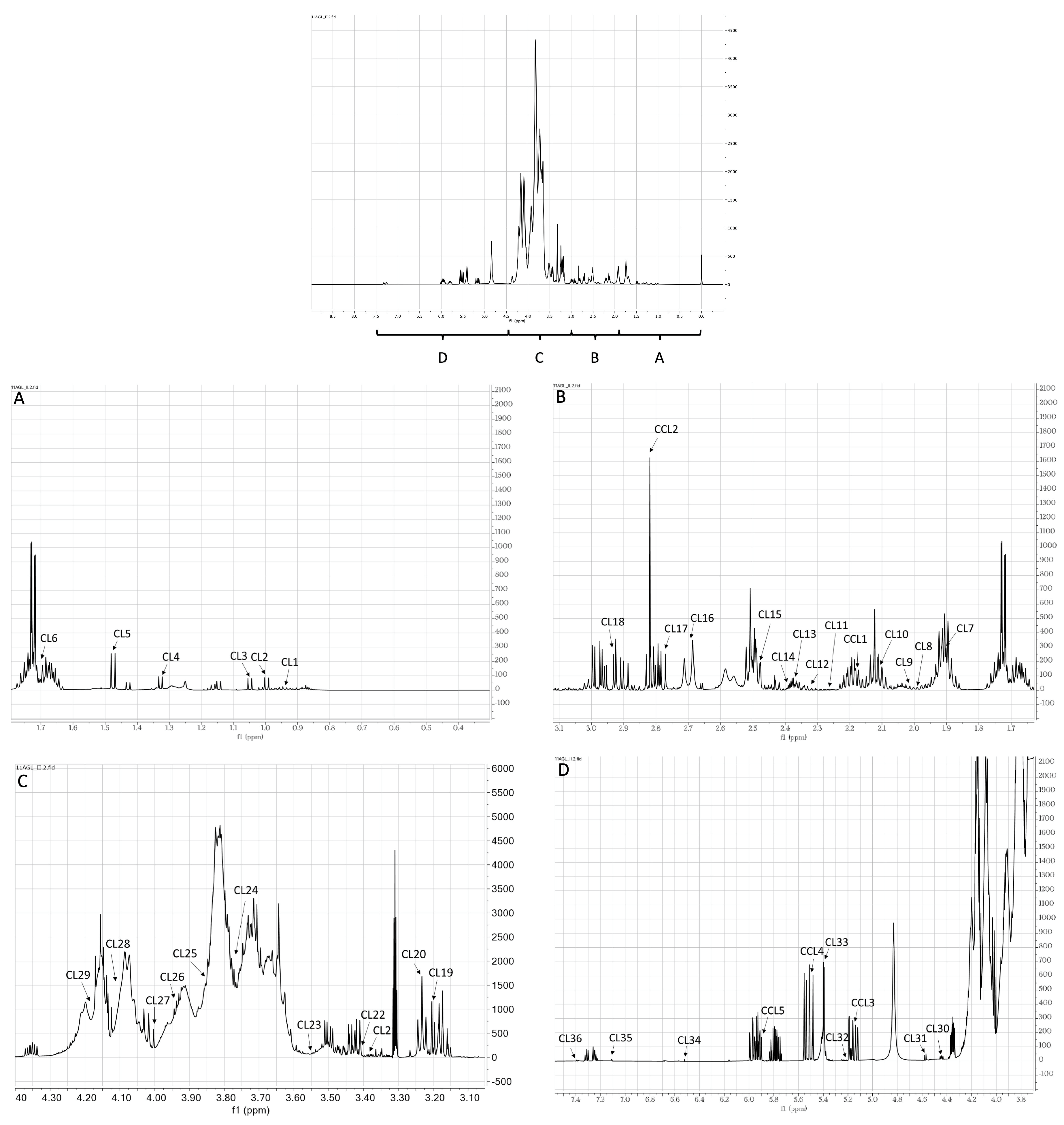Plants 13 01170 g001