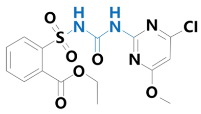 Plants 13 01171 i008