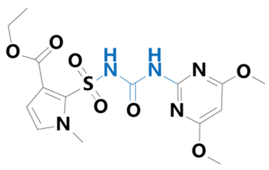 Plants 13 01171 i010