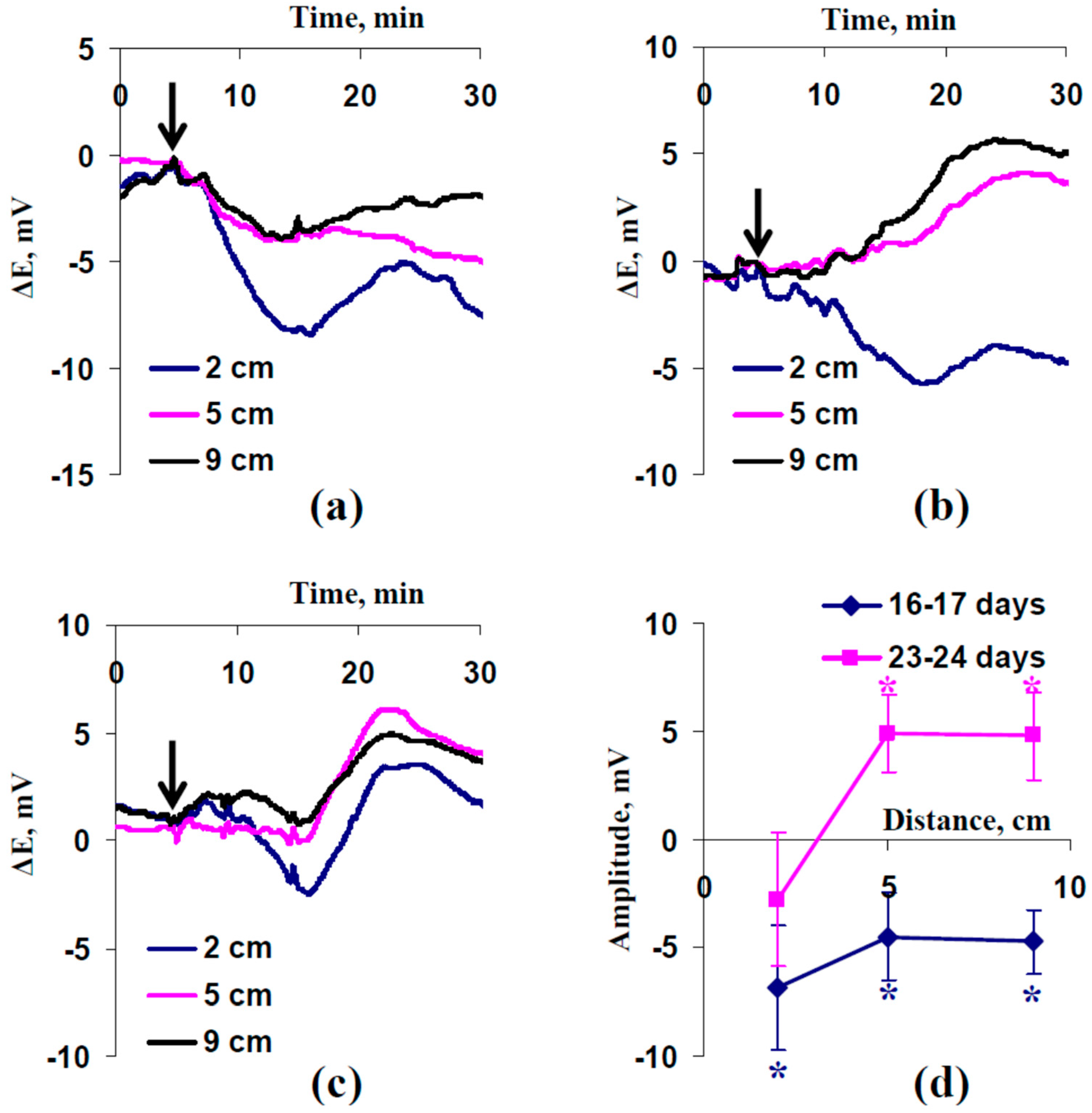 Plants 13 01173 g001