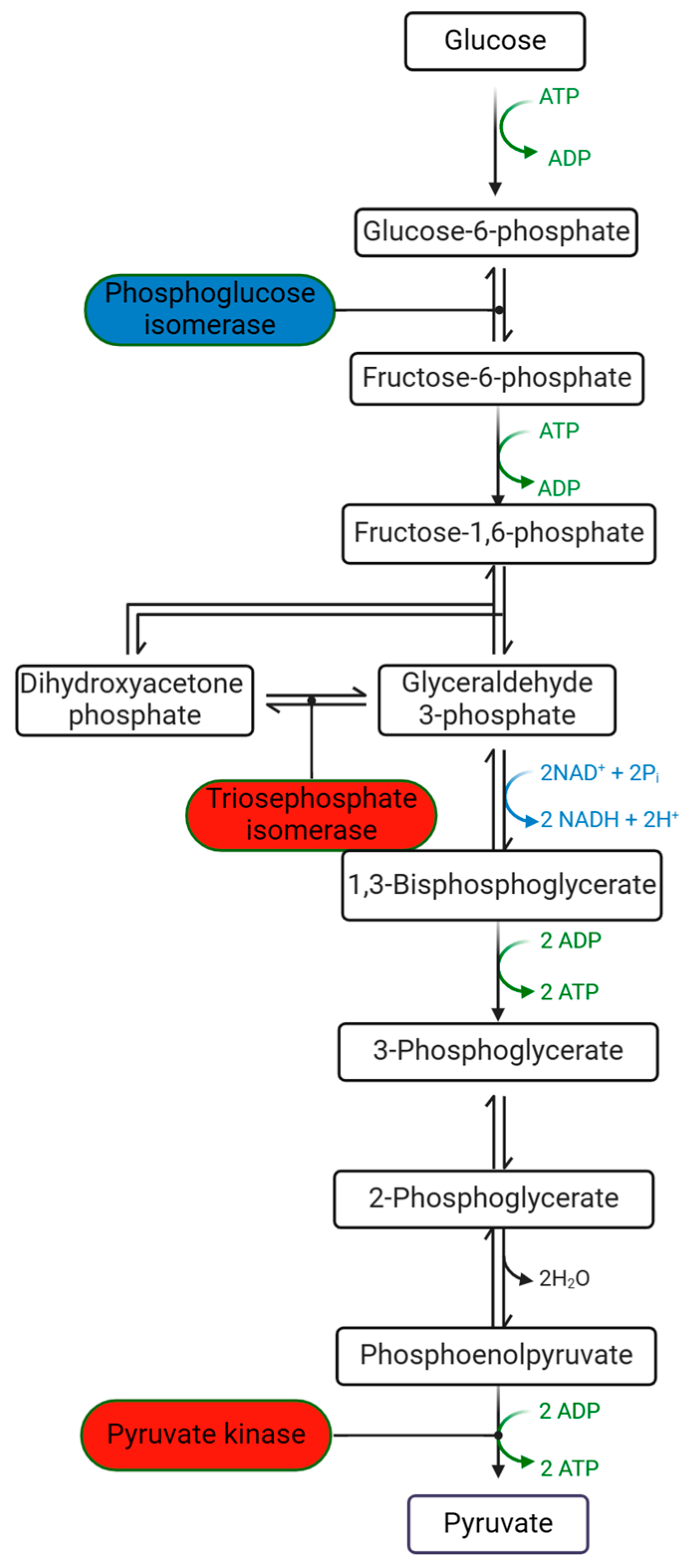 Plants 13 01174 g006