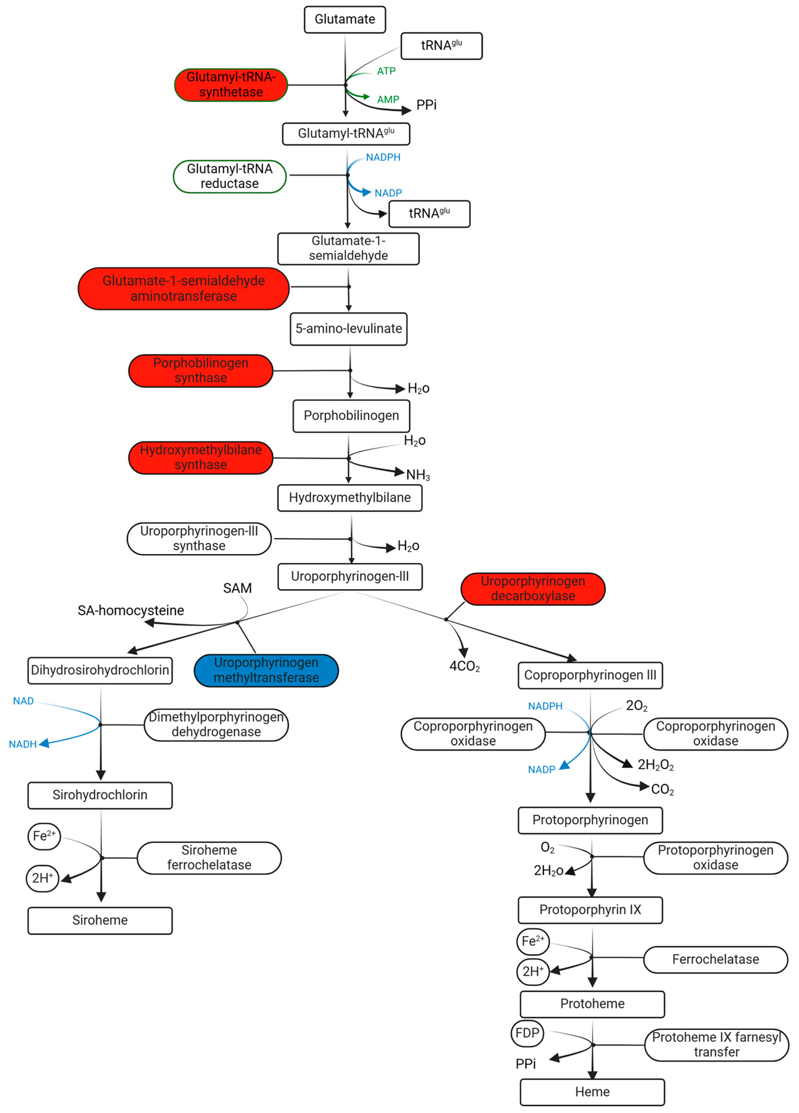 Plants 13 01174 g007