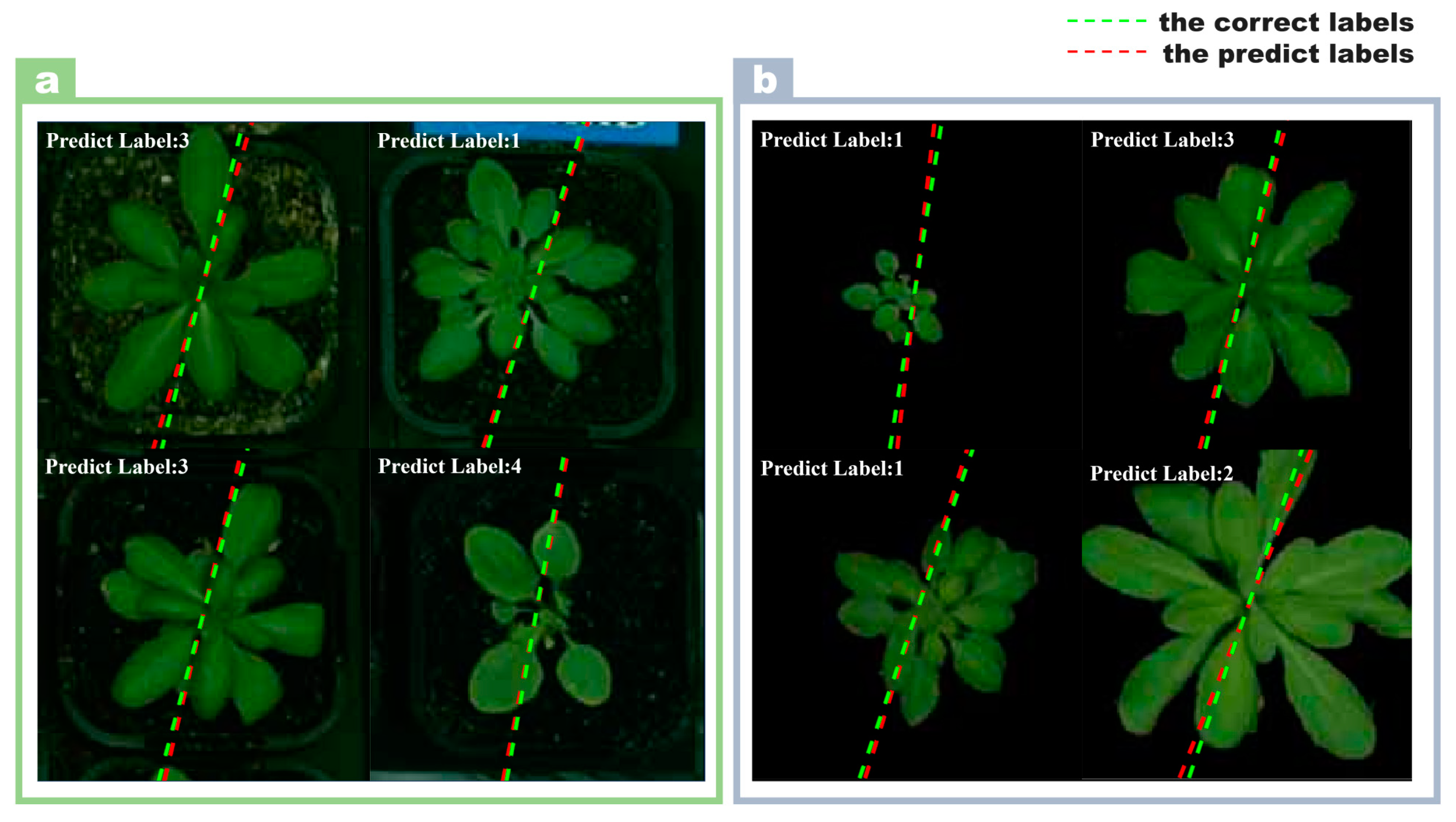 Plants 13 01177 g002