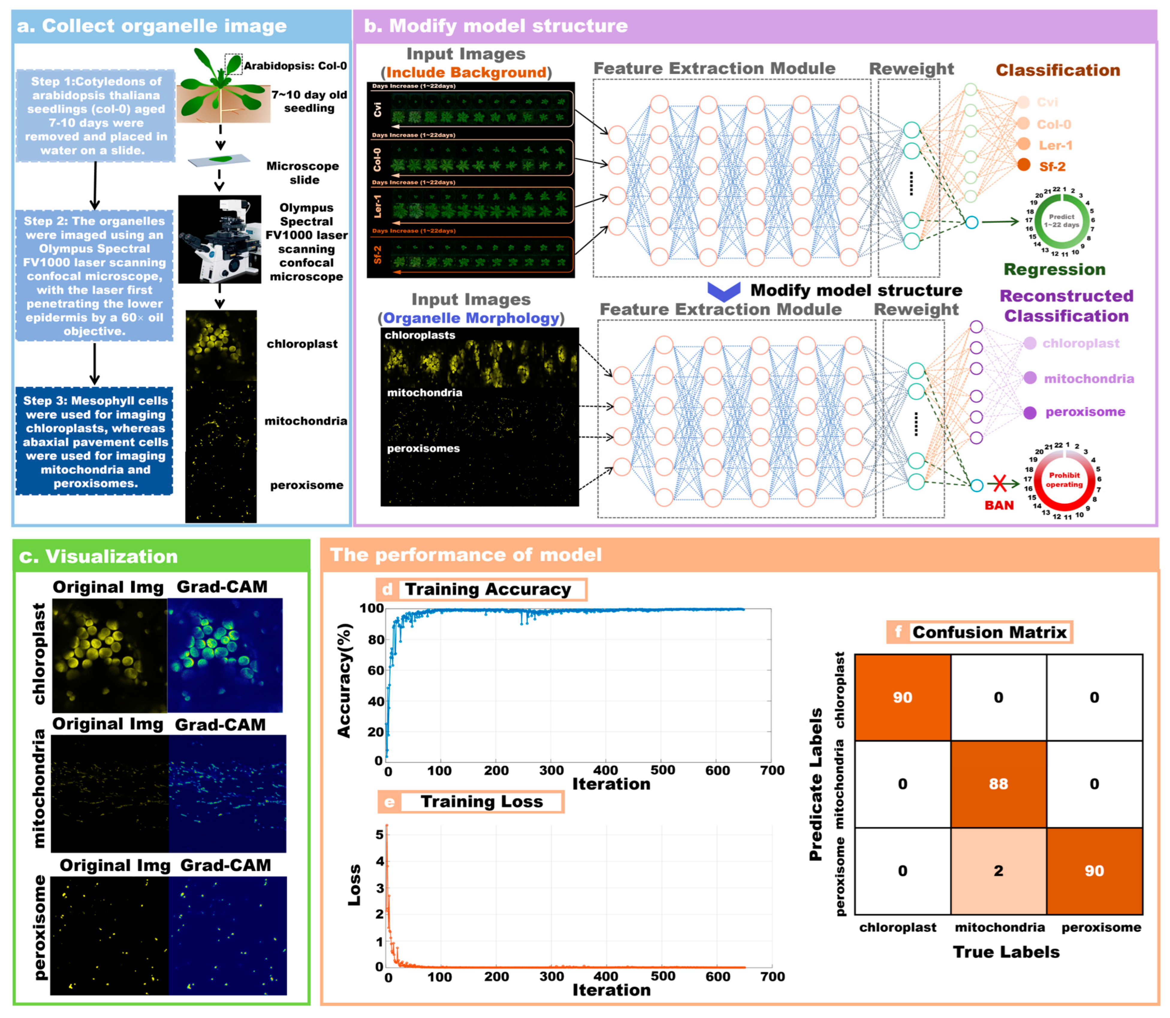 Plants 13 01177 g004