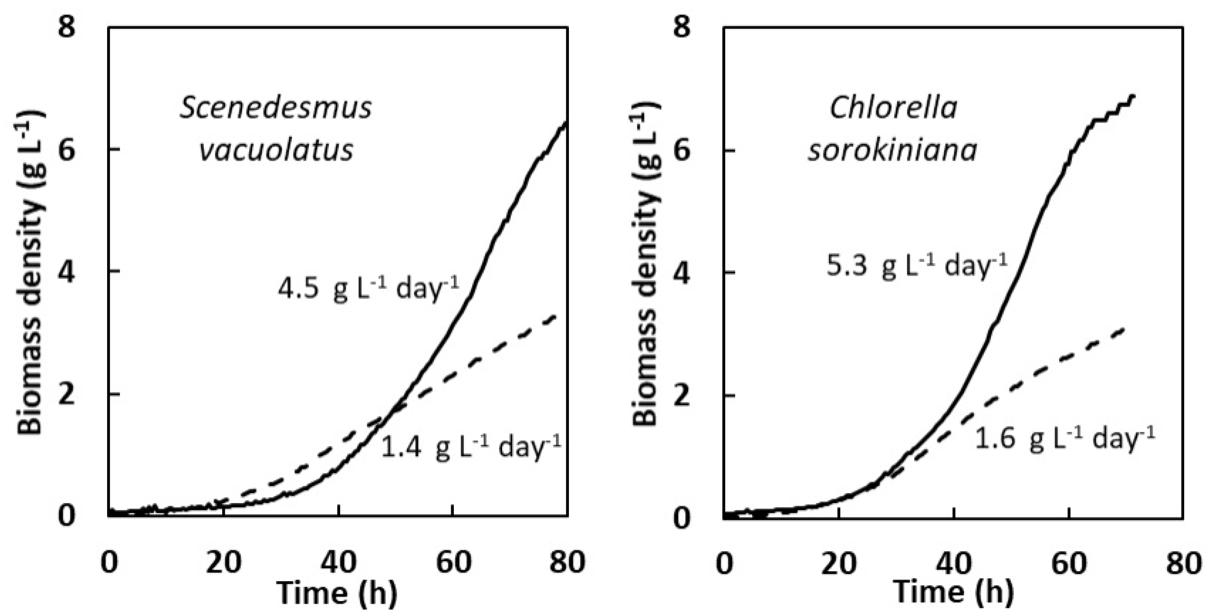 Plants 13 01182 g007