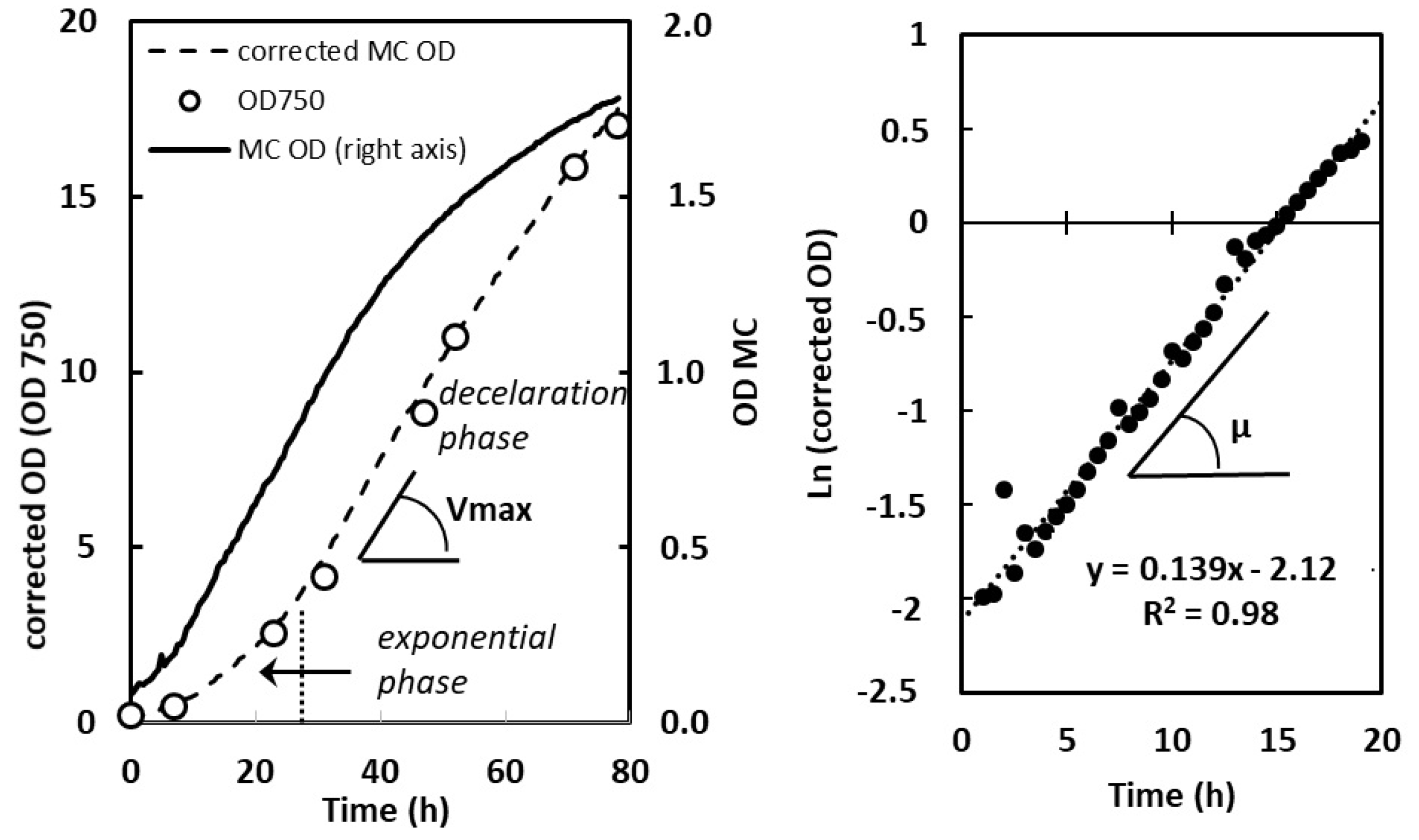 Plants 13 01182 g008
